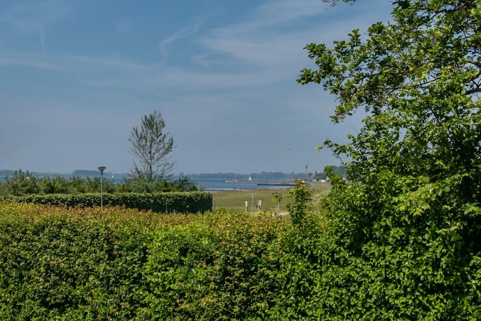Waterhoenlaan 8-View summer