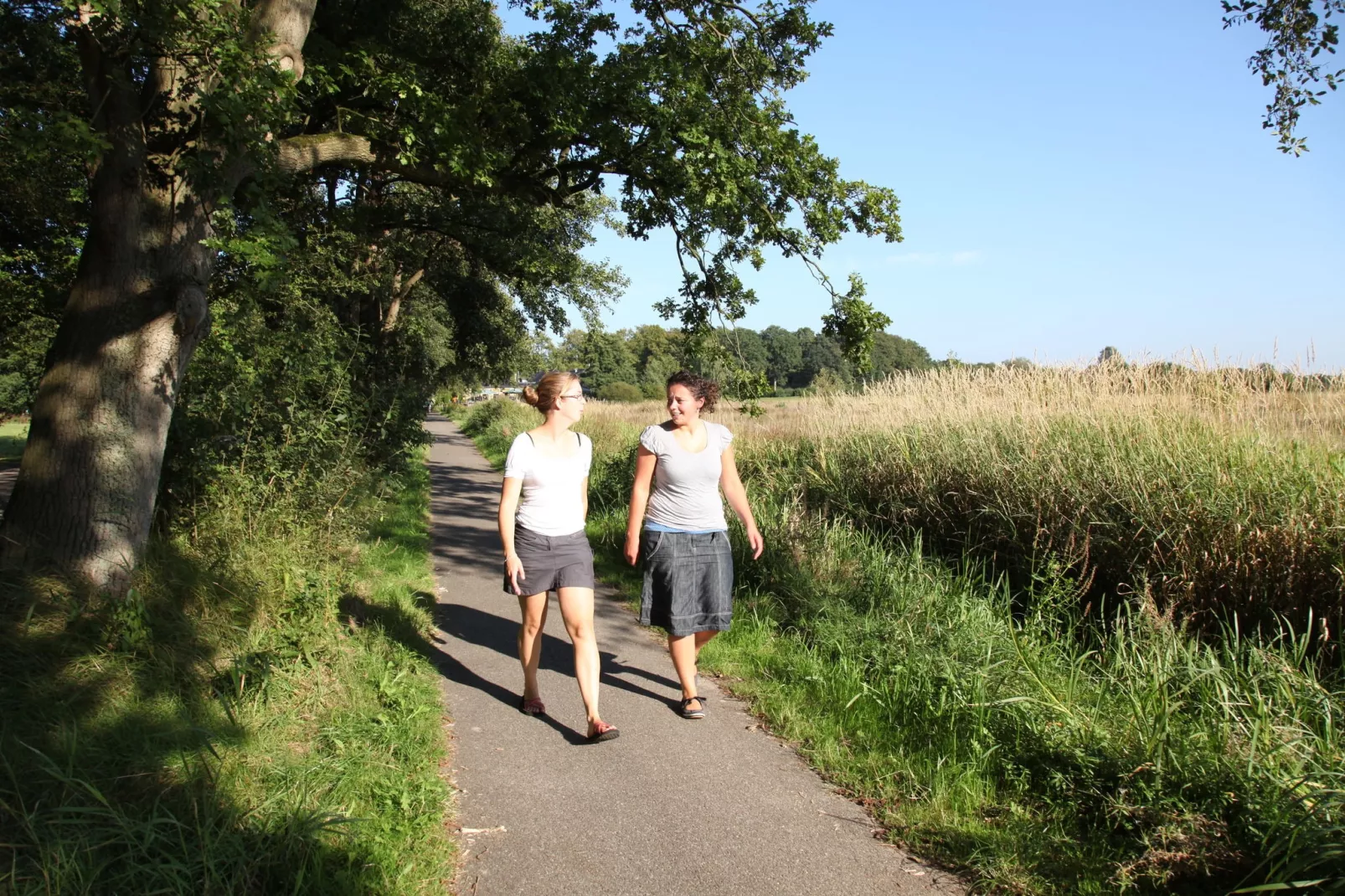 Villapark Akenveen 1-Gebiete Sommer 5 km