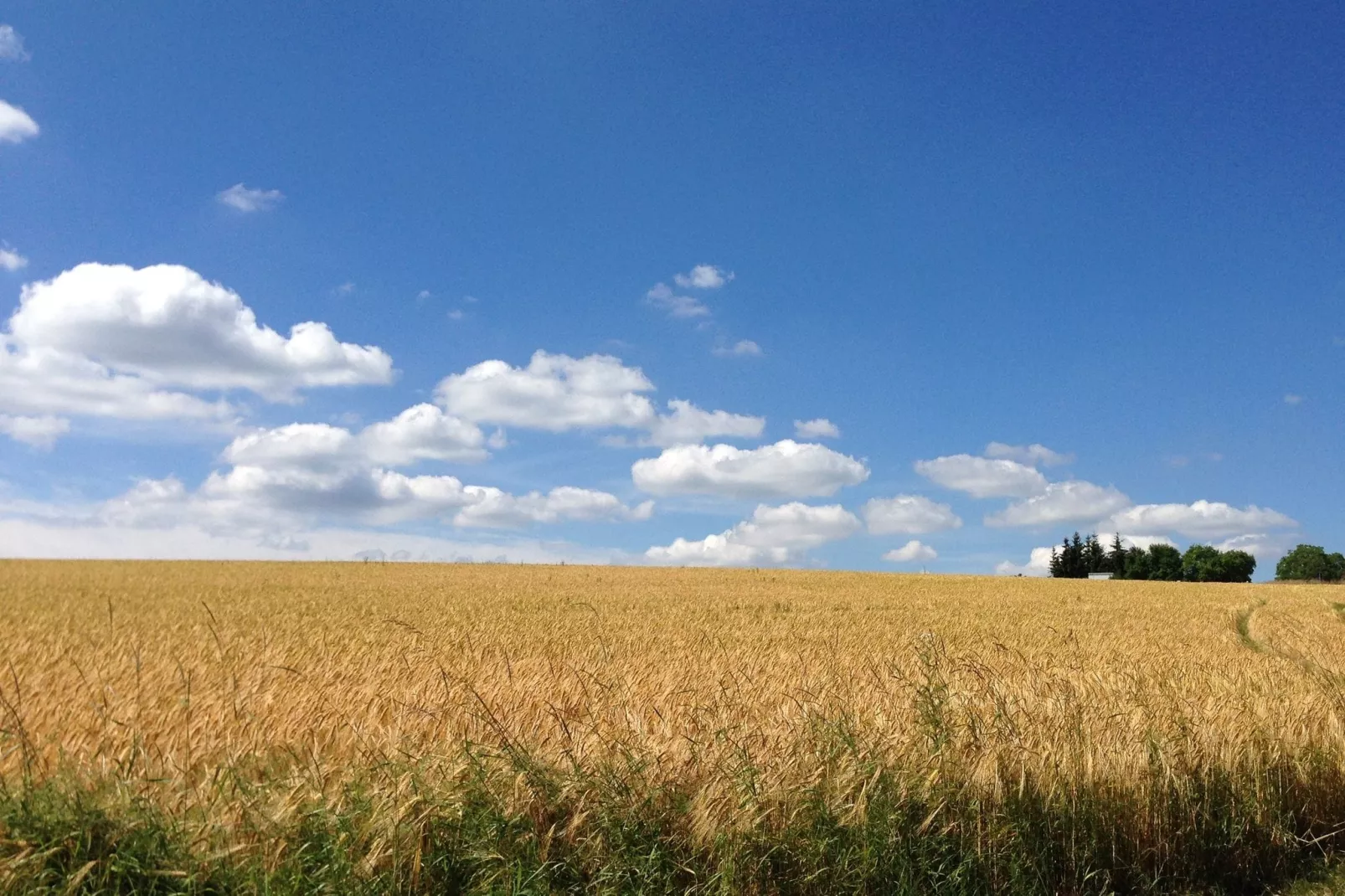 Im Altmühltal-Areas summer 20km