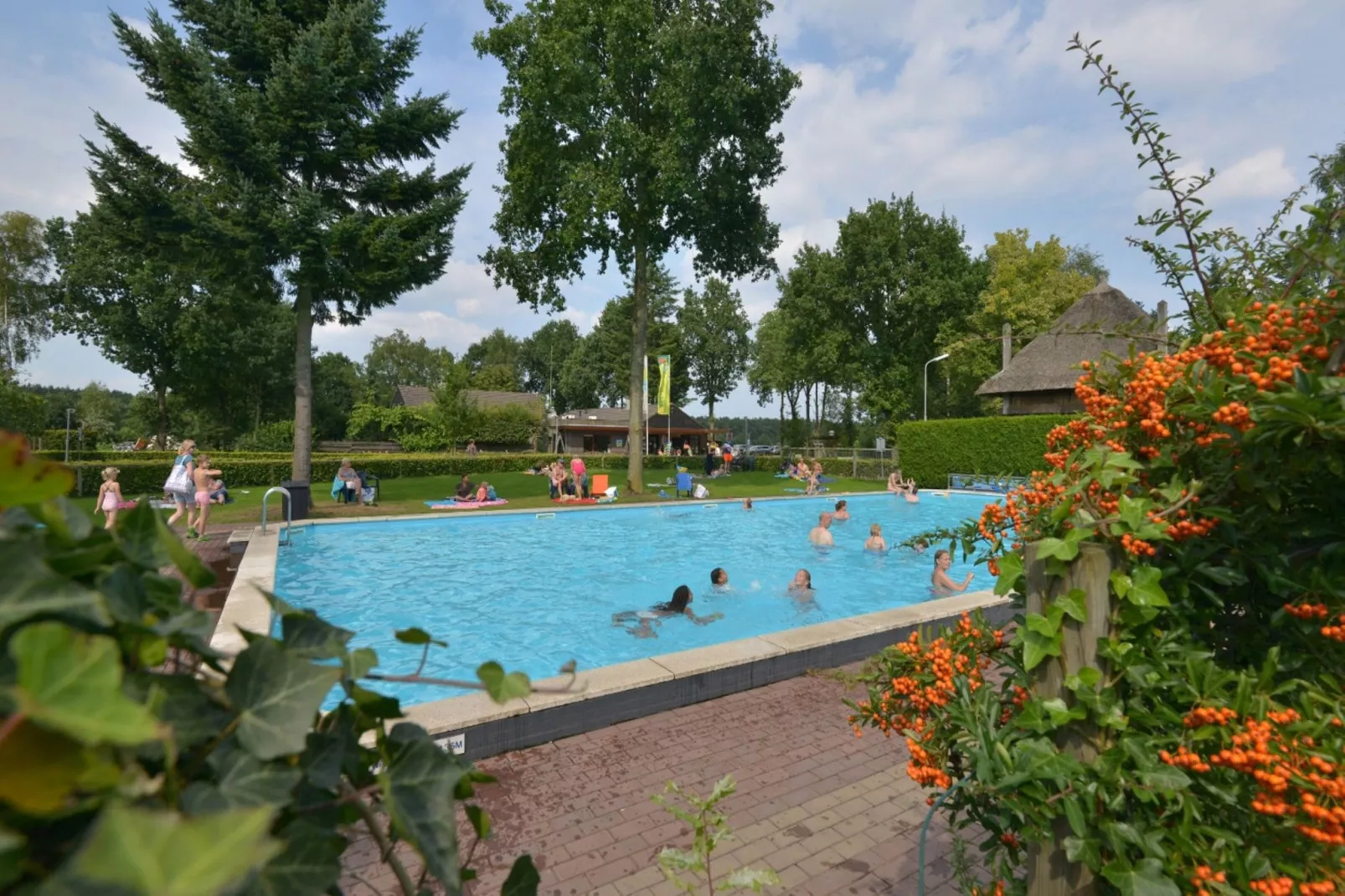 Resort De Wije Werelt 4-Areas summer 1km