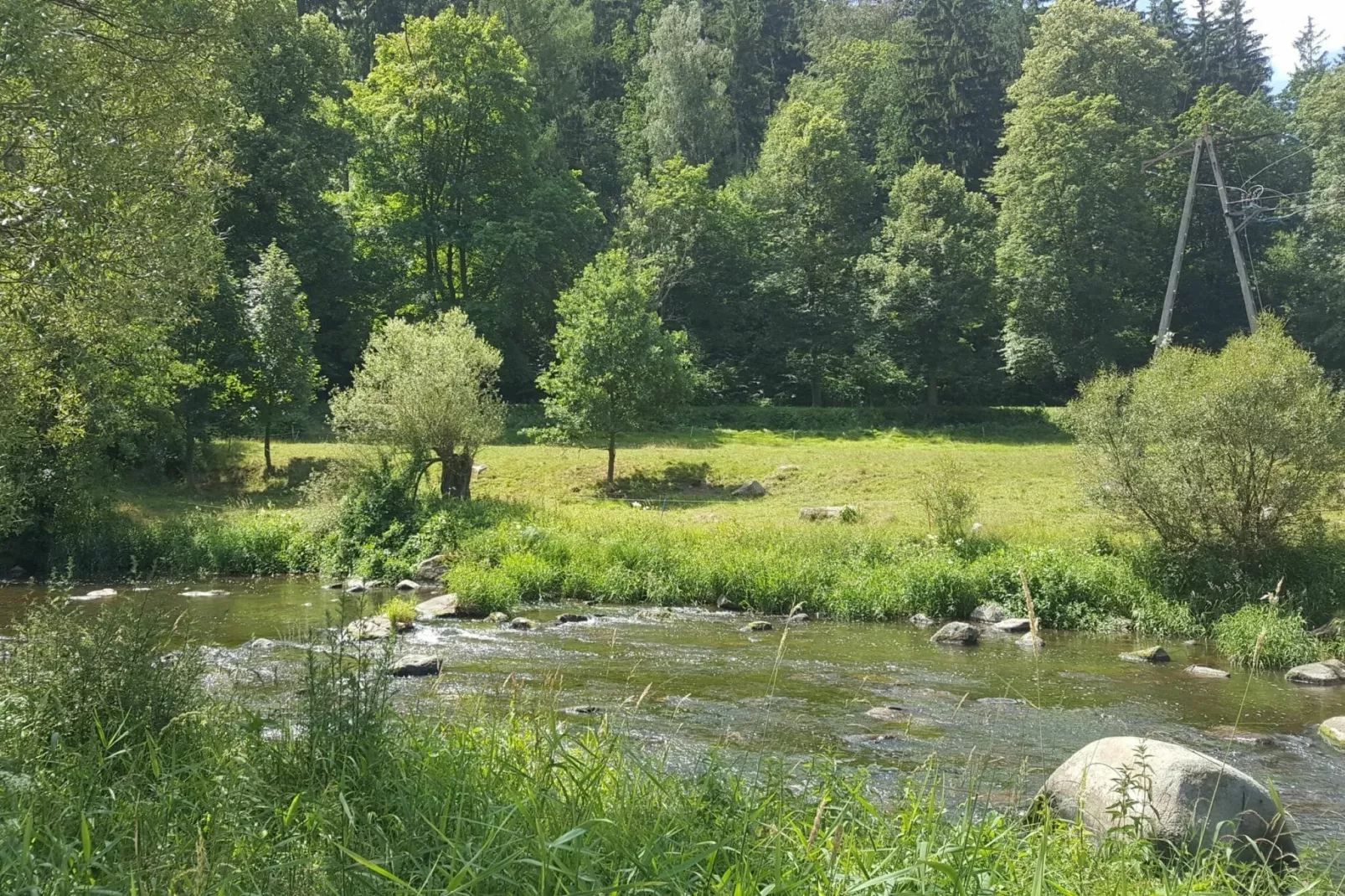 Dom Sokolik-Forest Apartment-Gebiete Sommer 1 km