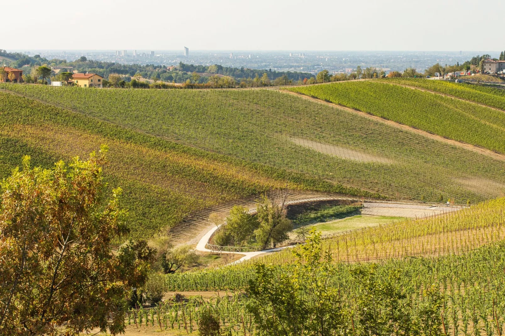 Tamburina-View summer