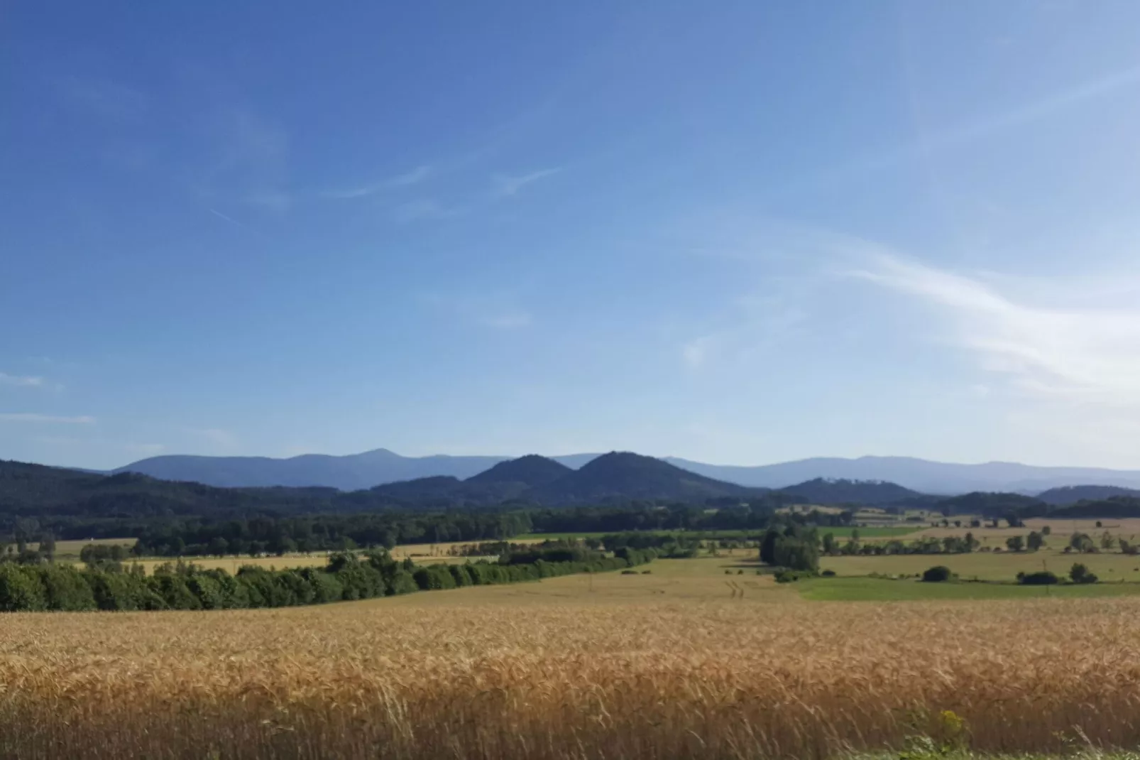 Dom Sokolik- Mountain Apartment-Aussicht Sommer