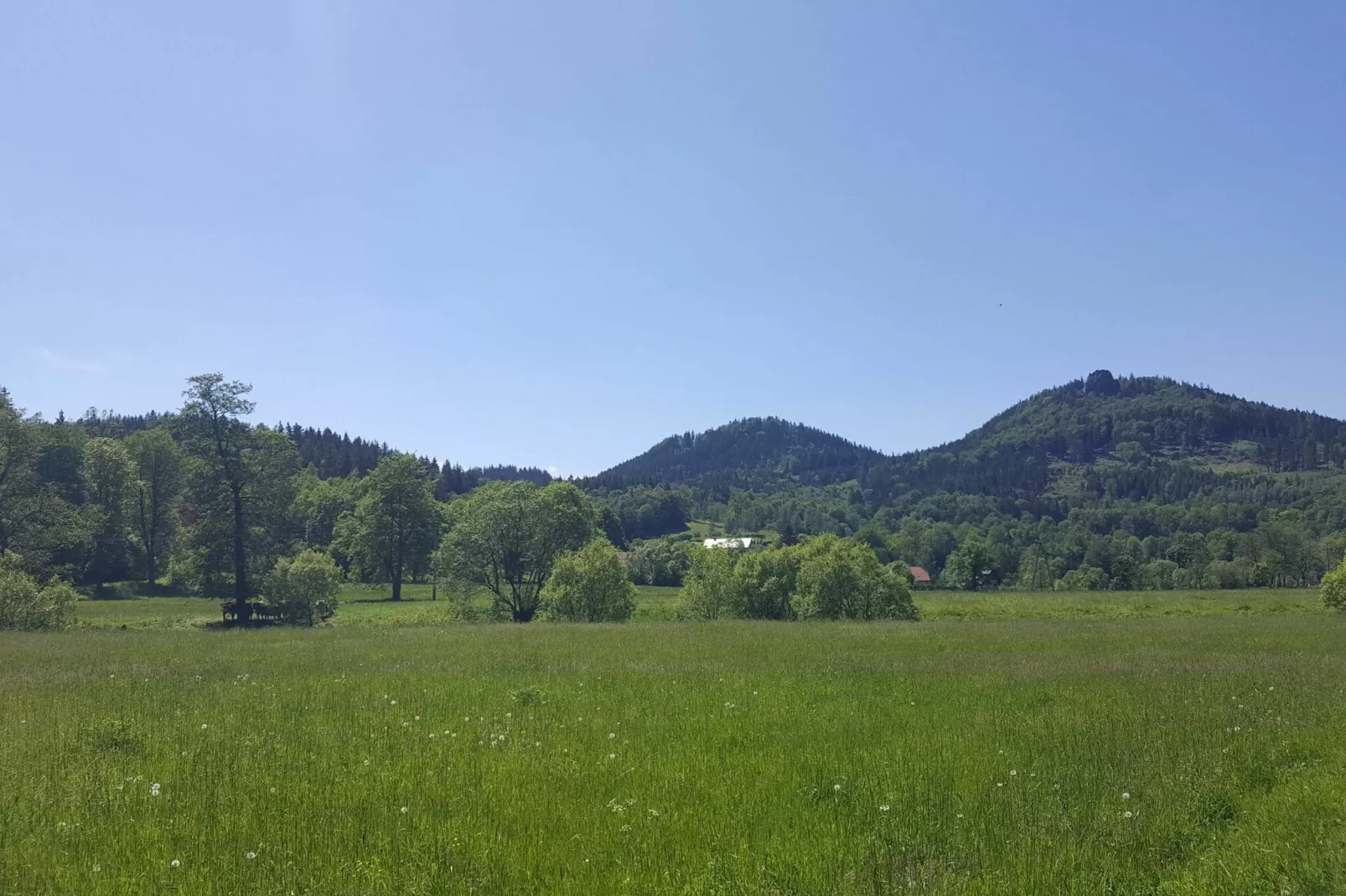 Dom Sokolik- Mountain Apartment-Aussicht Sommer