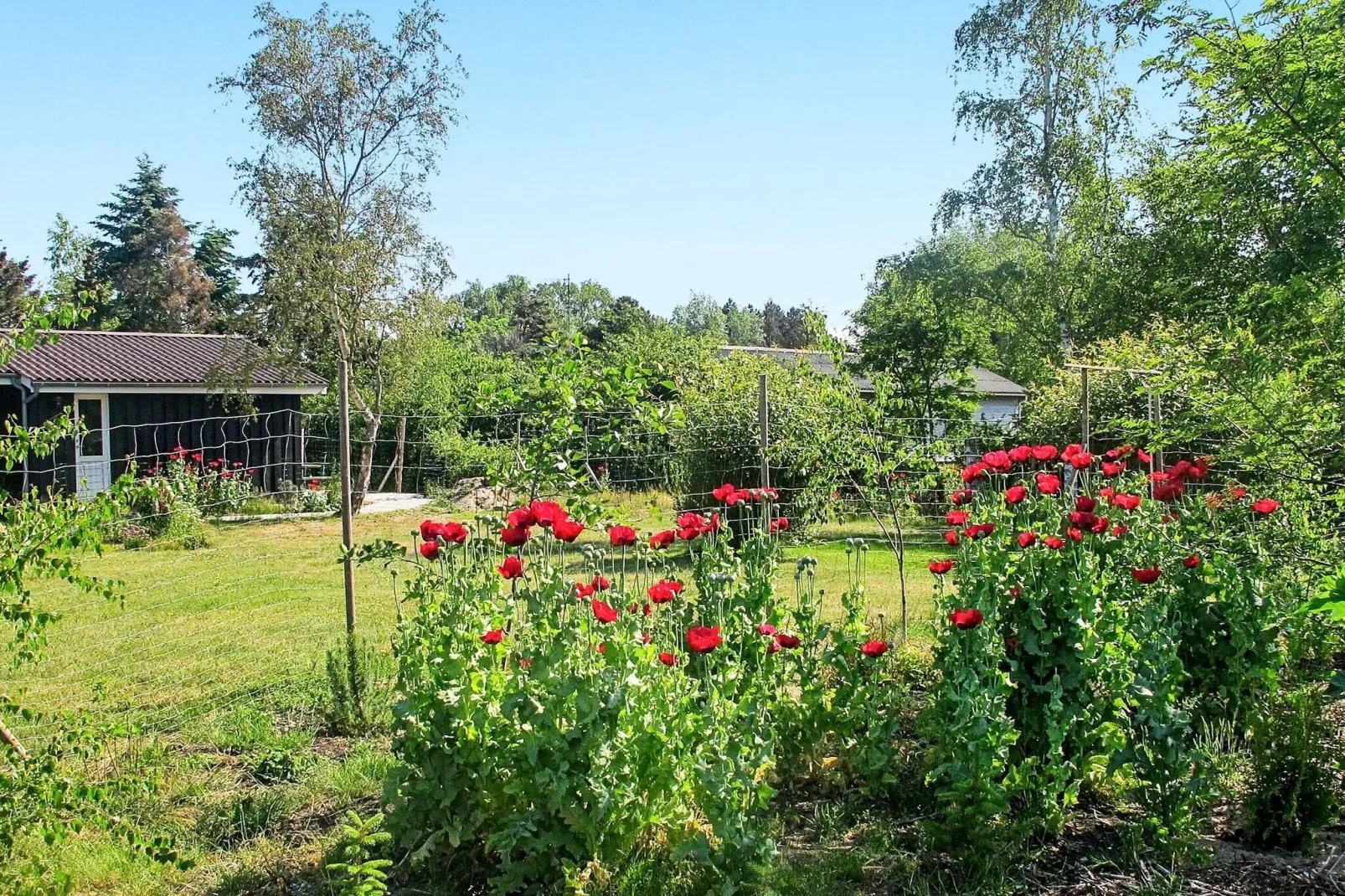 6 person holiday home in Rødby-Outdoor