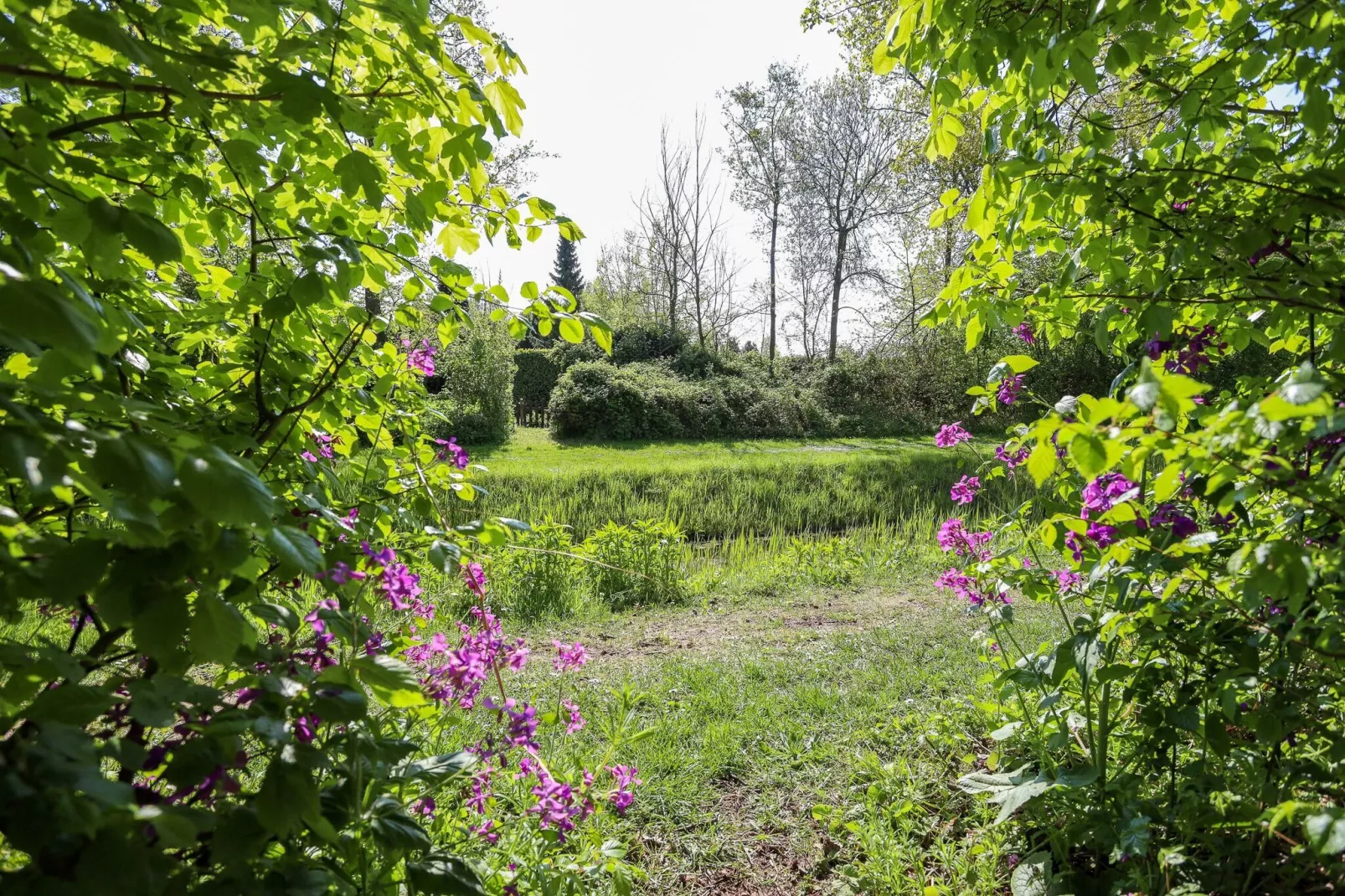 Iepenlaan 14-Areas summer 1km