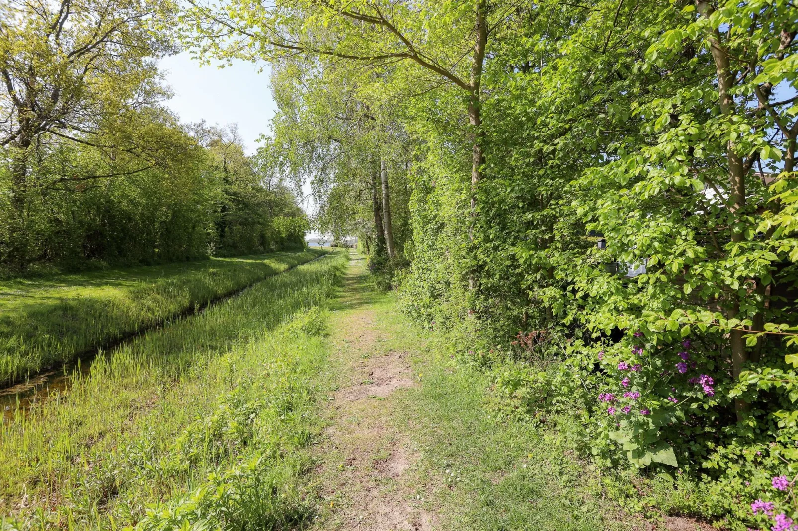 Iepenlaan 14-Areas summer 1km