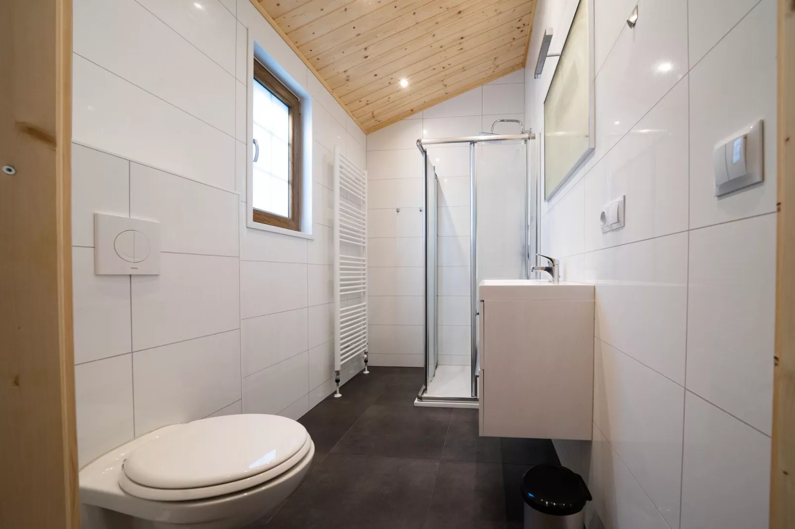 Resort De Wije Werelt 5-Bathroom
