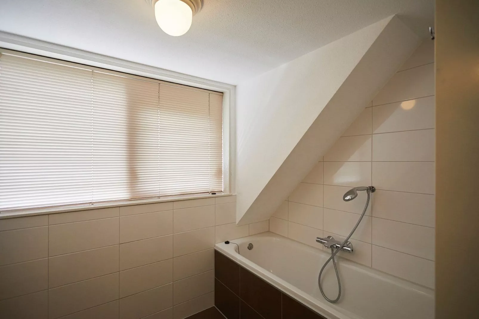 Vakantiepark Hof van Zeeland 5-Badezimmer