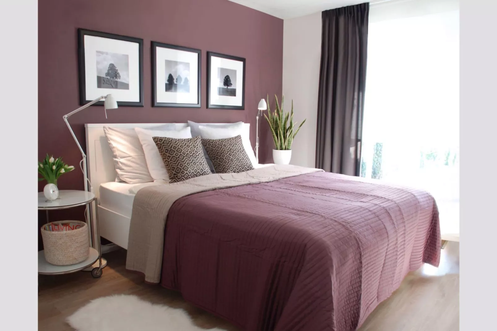 Ostrea 16-Chambre