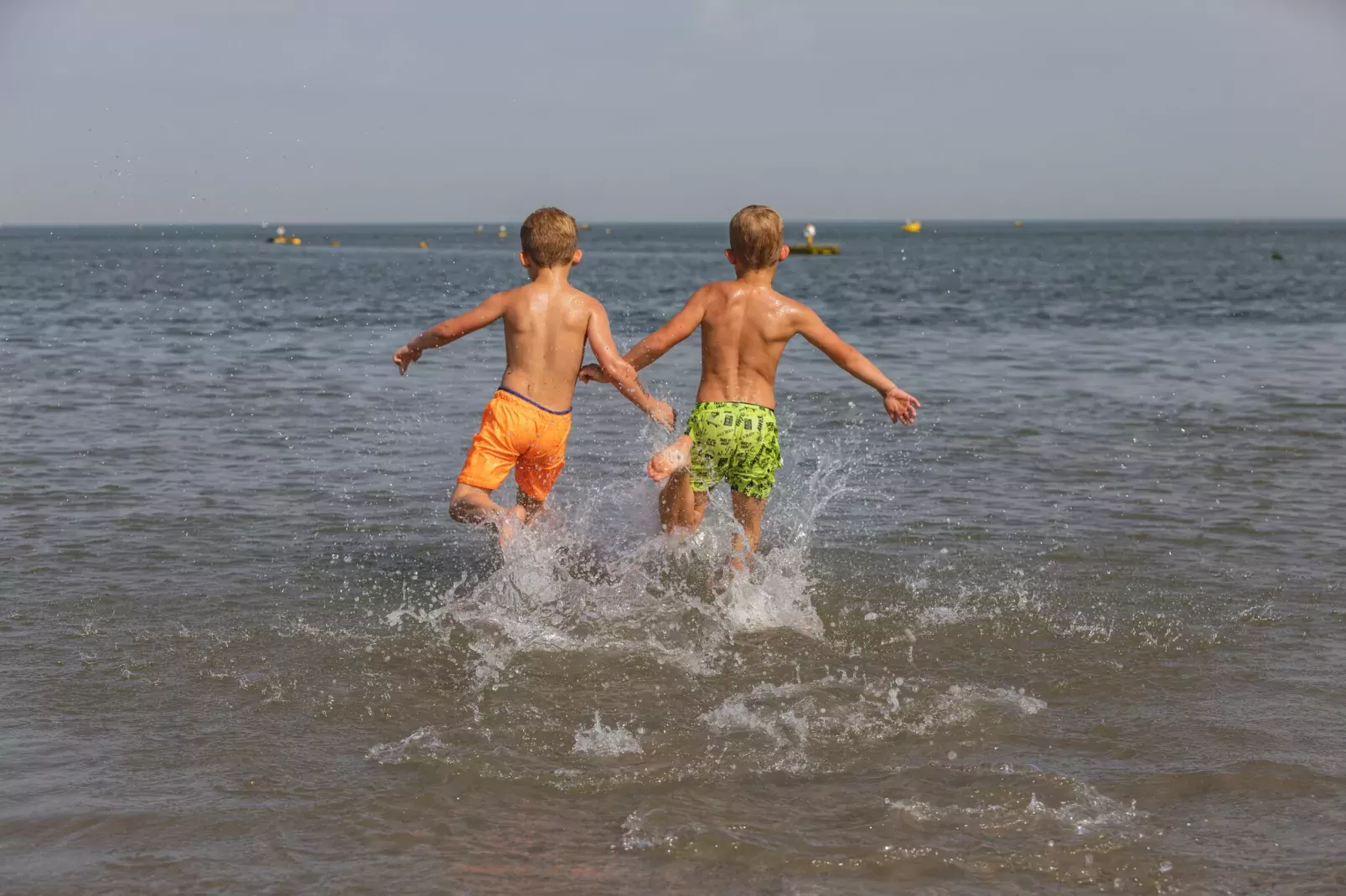 Noordzee Résidence De Banjaard 21-Areas summer 1km