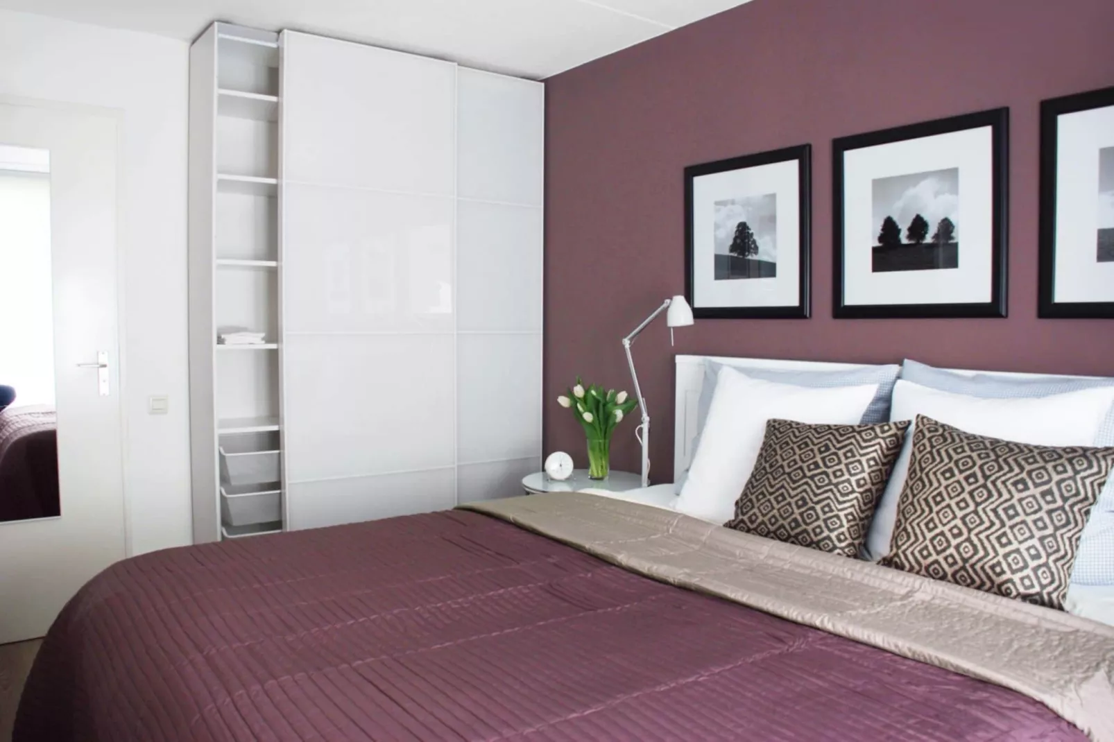 Ostrea 16-Chambre