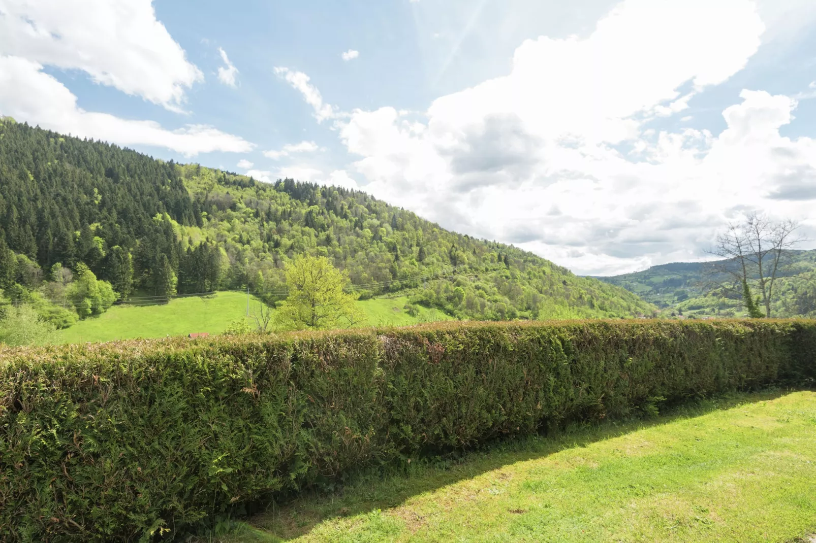 Le Chamois-View summer