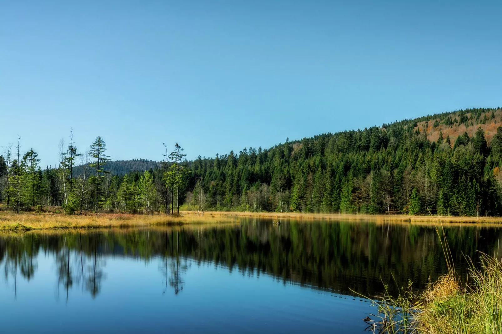 Le Chamois-Areas summer 5km
