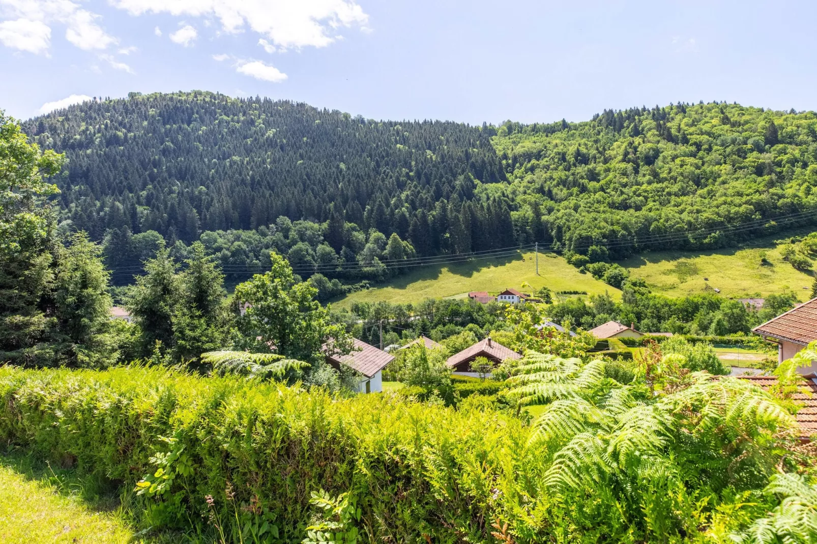 L'Ourson-Areas summer 5km