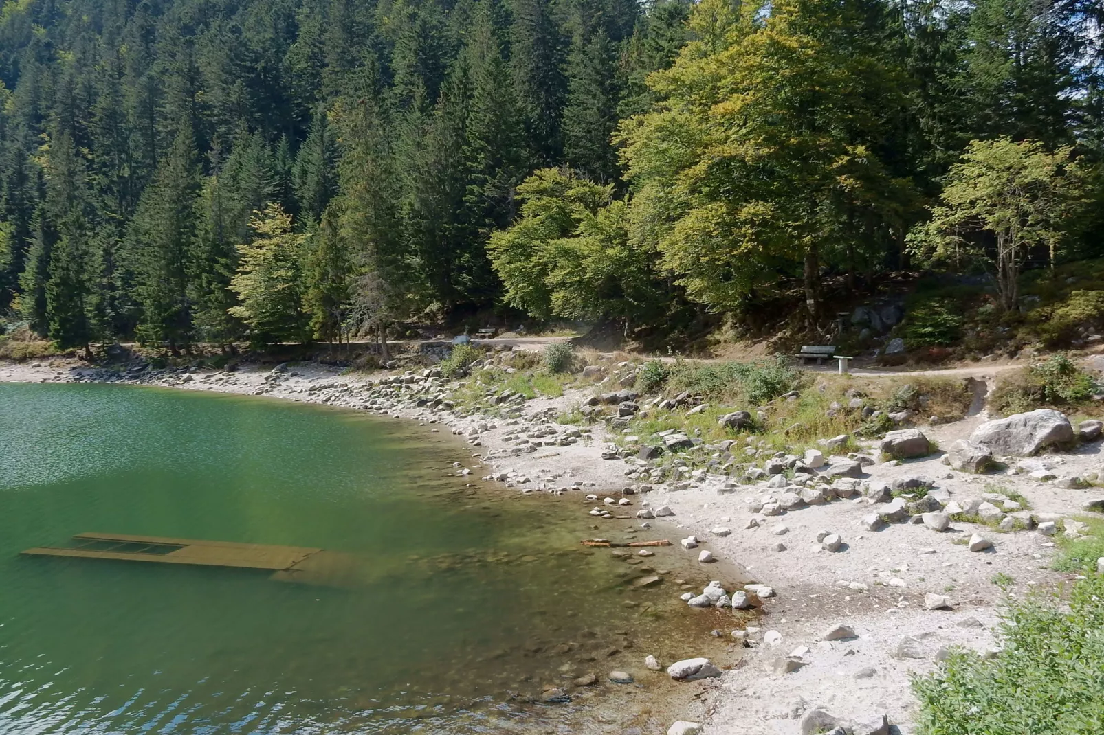 L'Ourson-Areas summer 20km