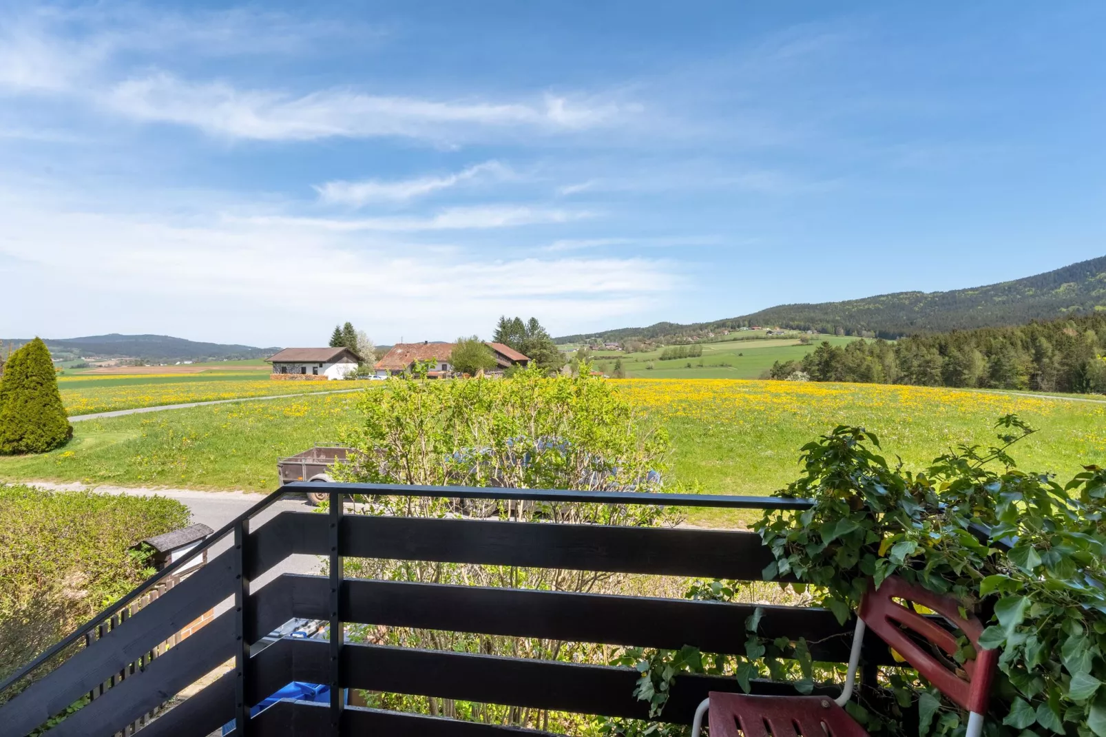 Ferienwohnung Bad Kötzting-View summer