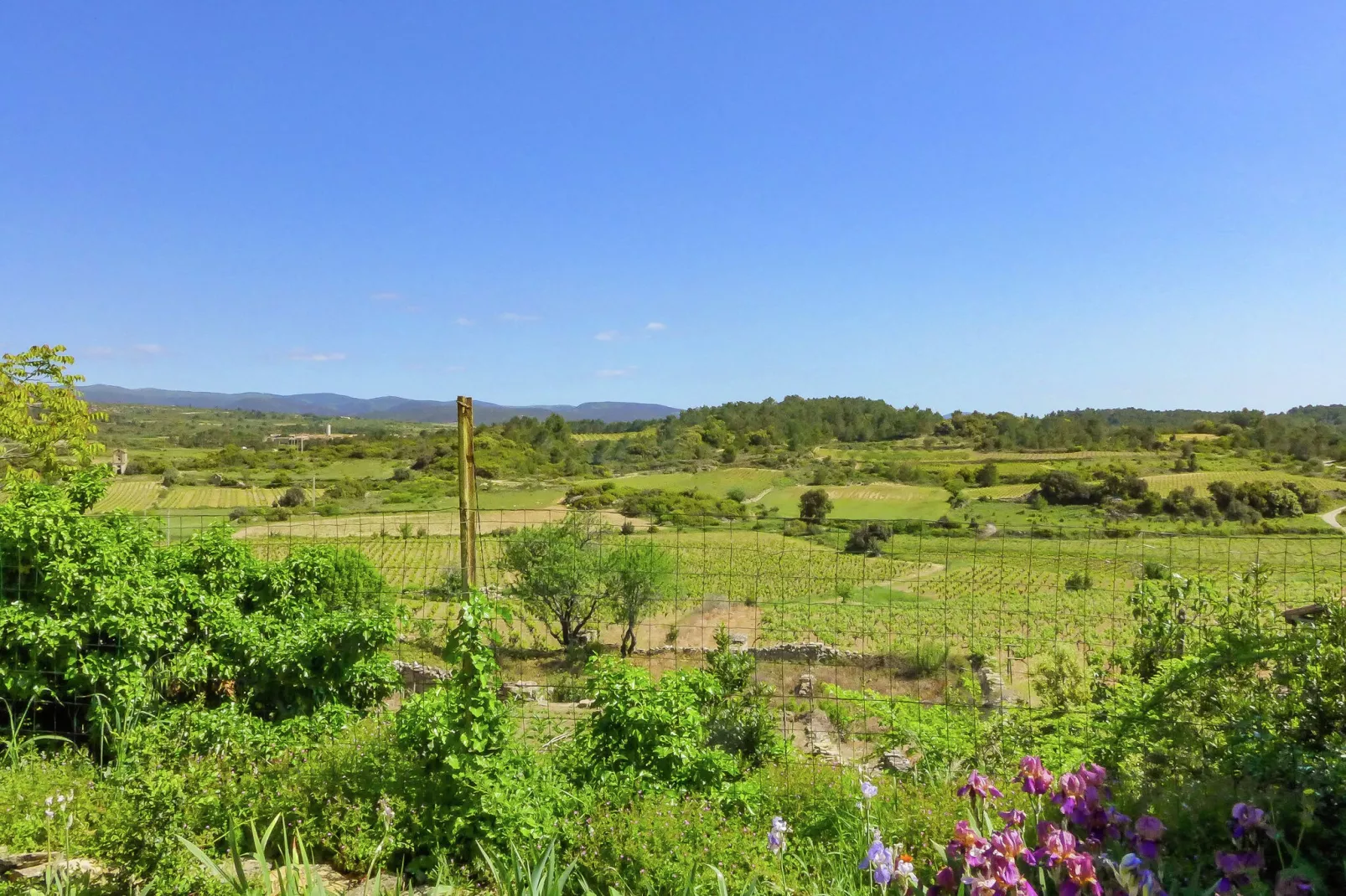 Maison de vacances - LA CAUNETTE-Gardens summer