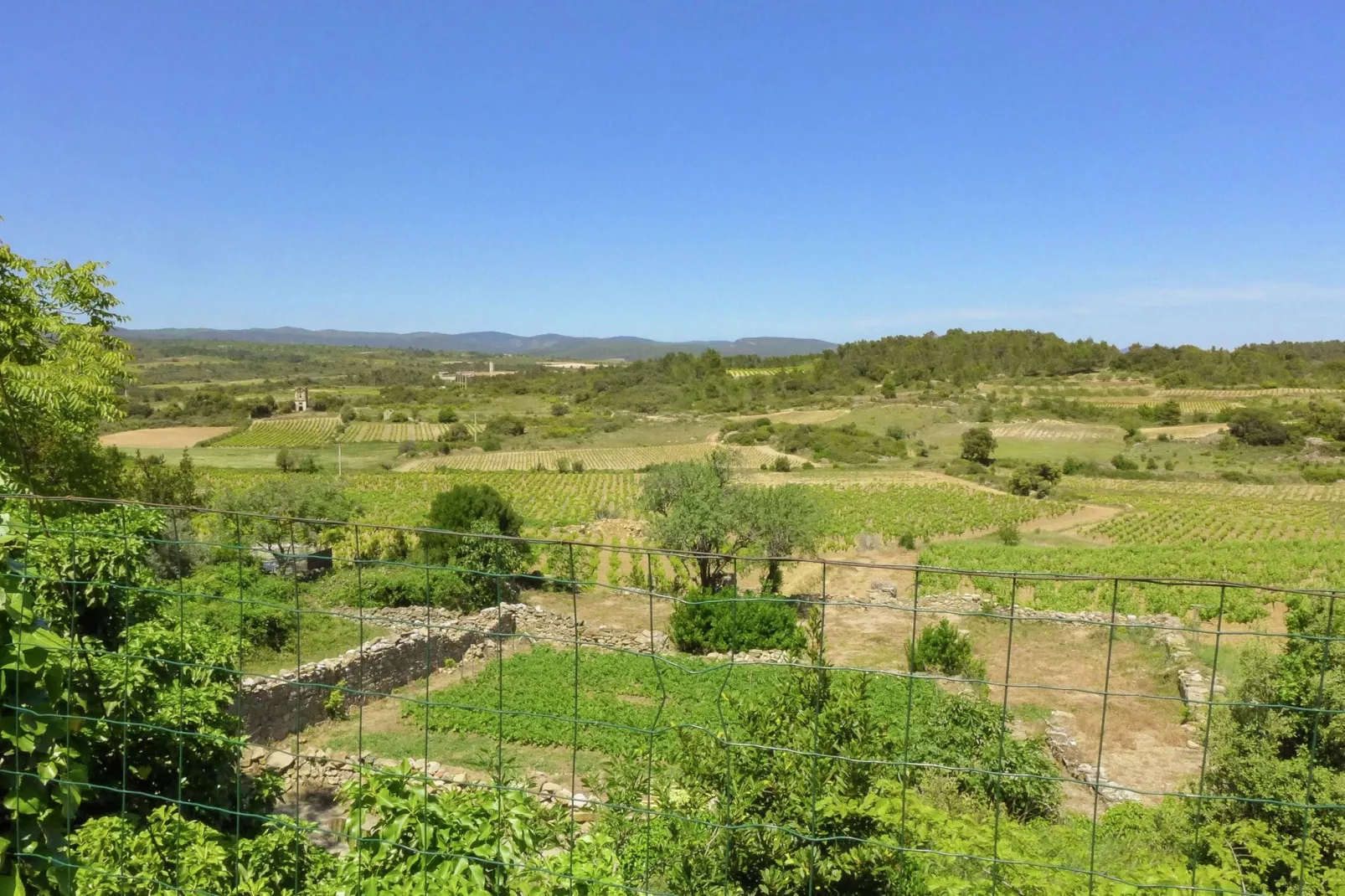 Maison de vacances - LA CAUNETTE-Gardens summer
