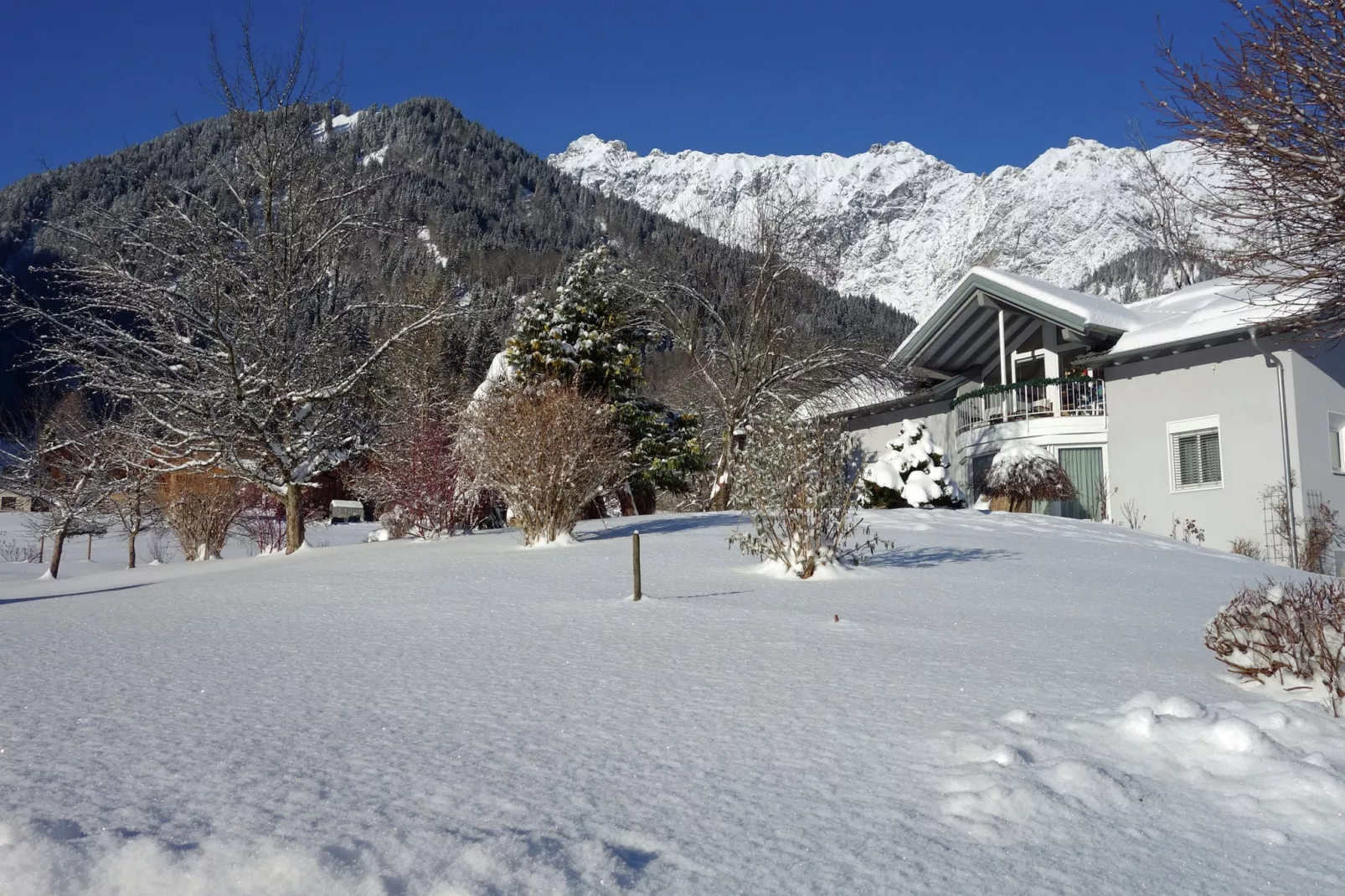 Bianca-Exterior in winter