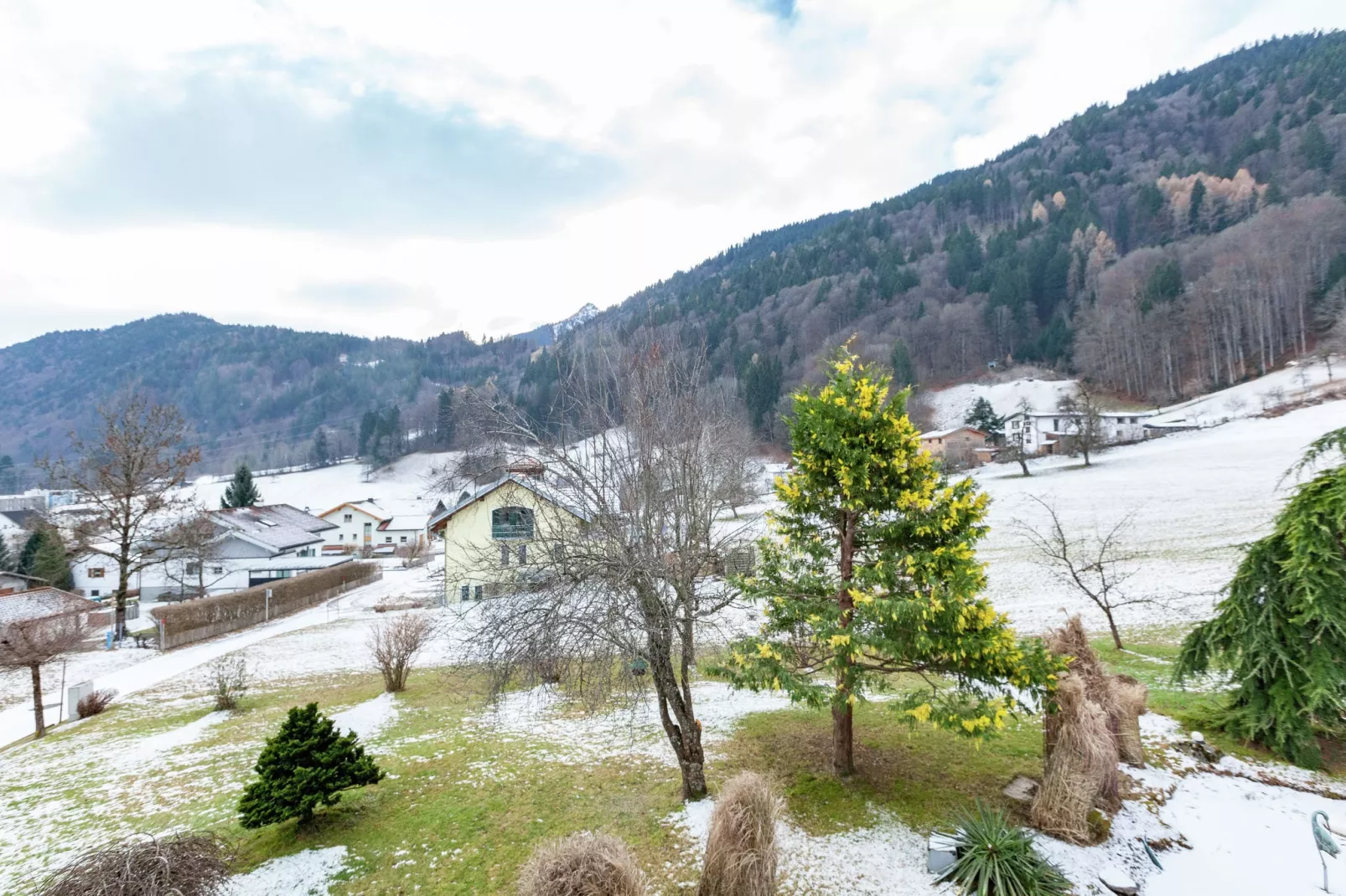 Bianca-View in winter