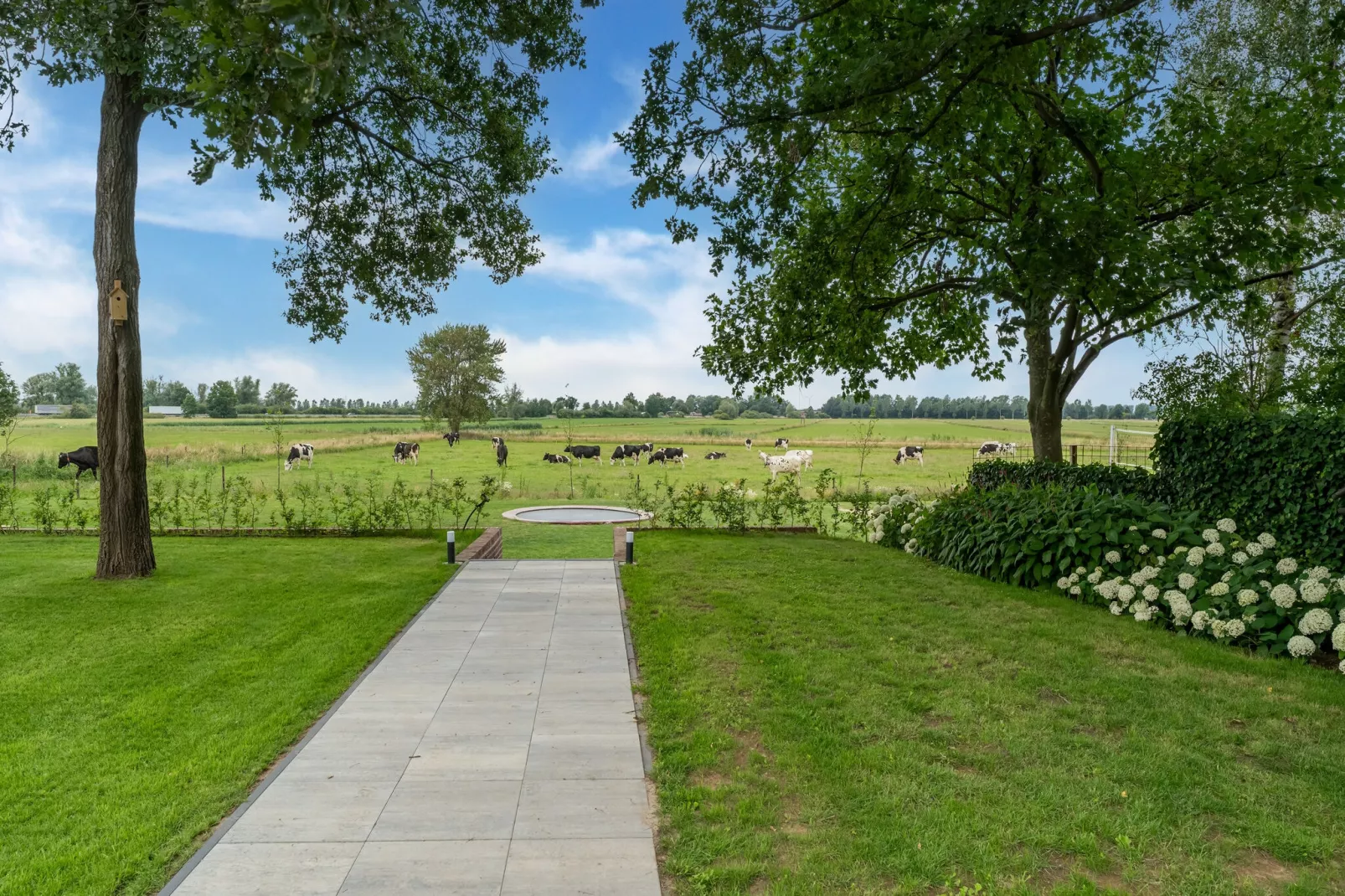 Hoeve Grenszicht-View summer