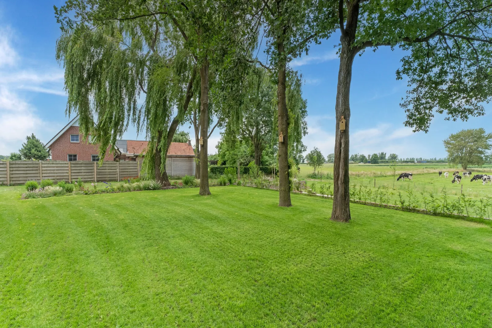 Hoeve Grenszicht-Gardens summer