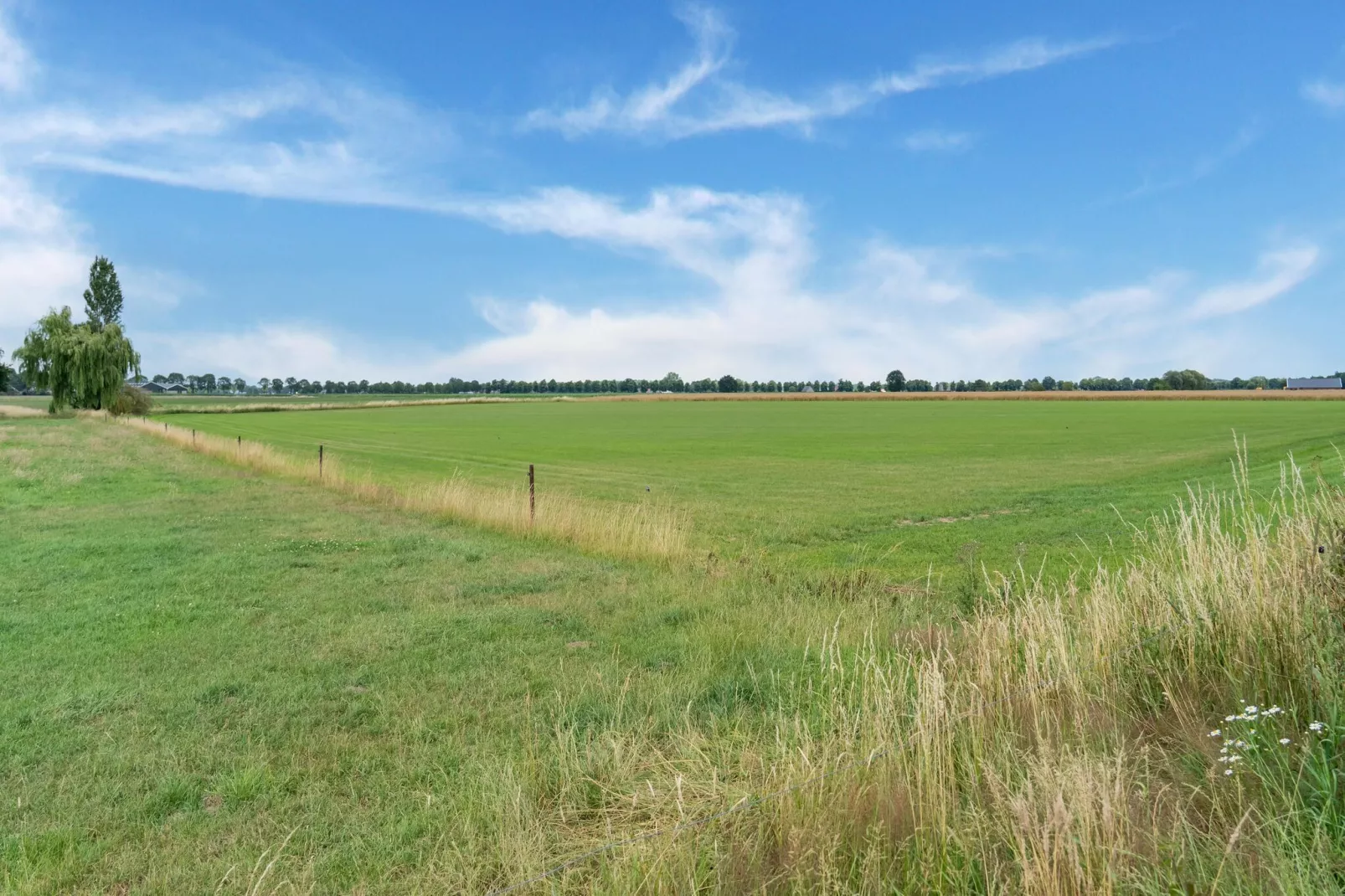 Hoeve Grenszicht-Areas summer 1km