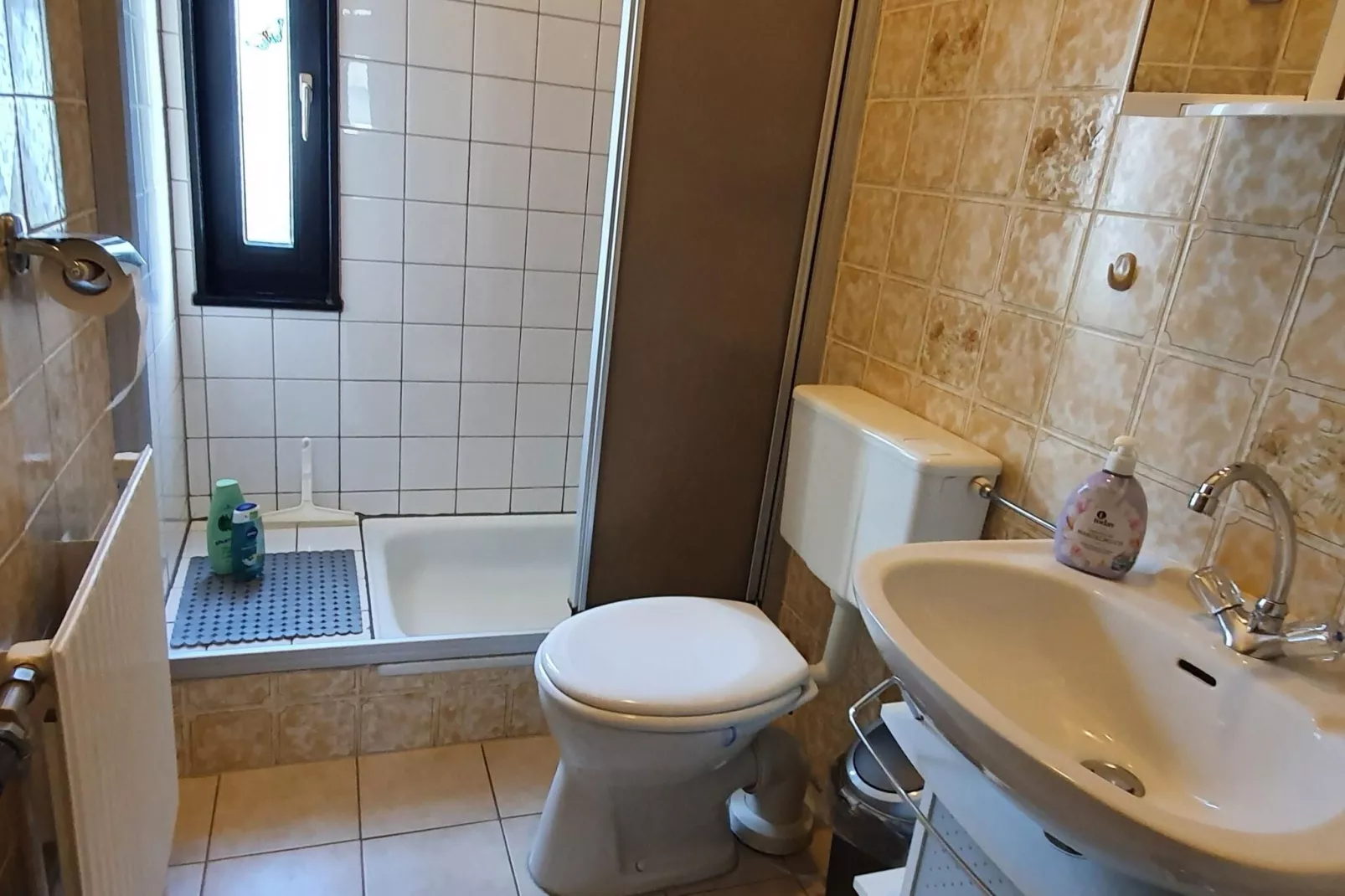 Brouwer Ferienhaus-Bathroom