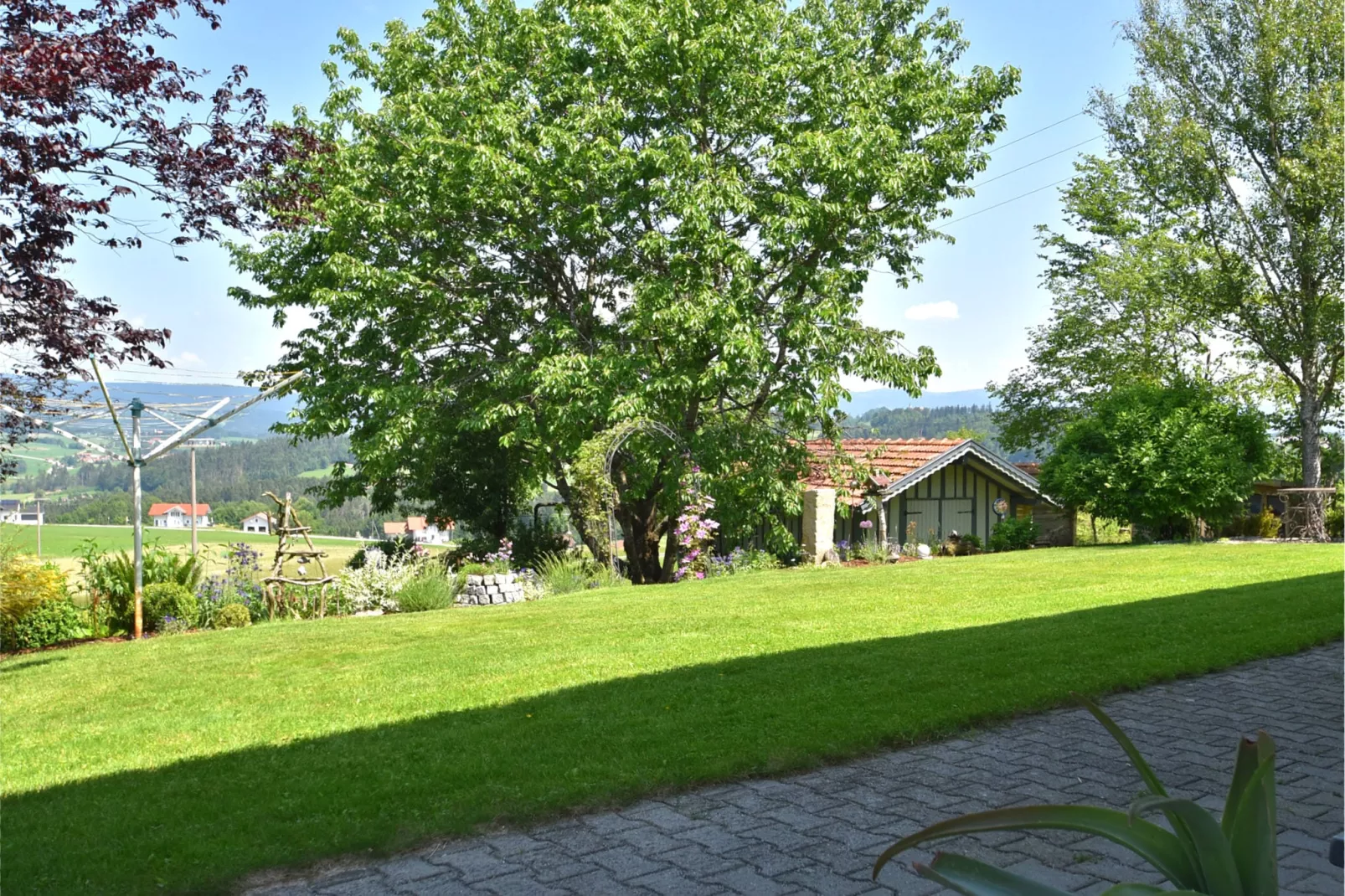 Holecek-View summer