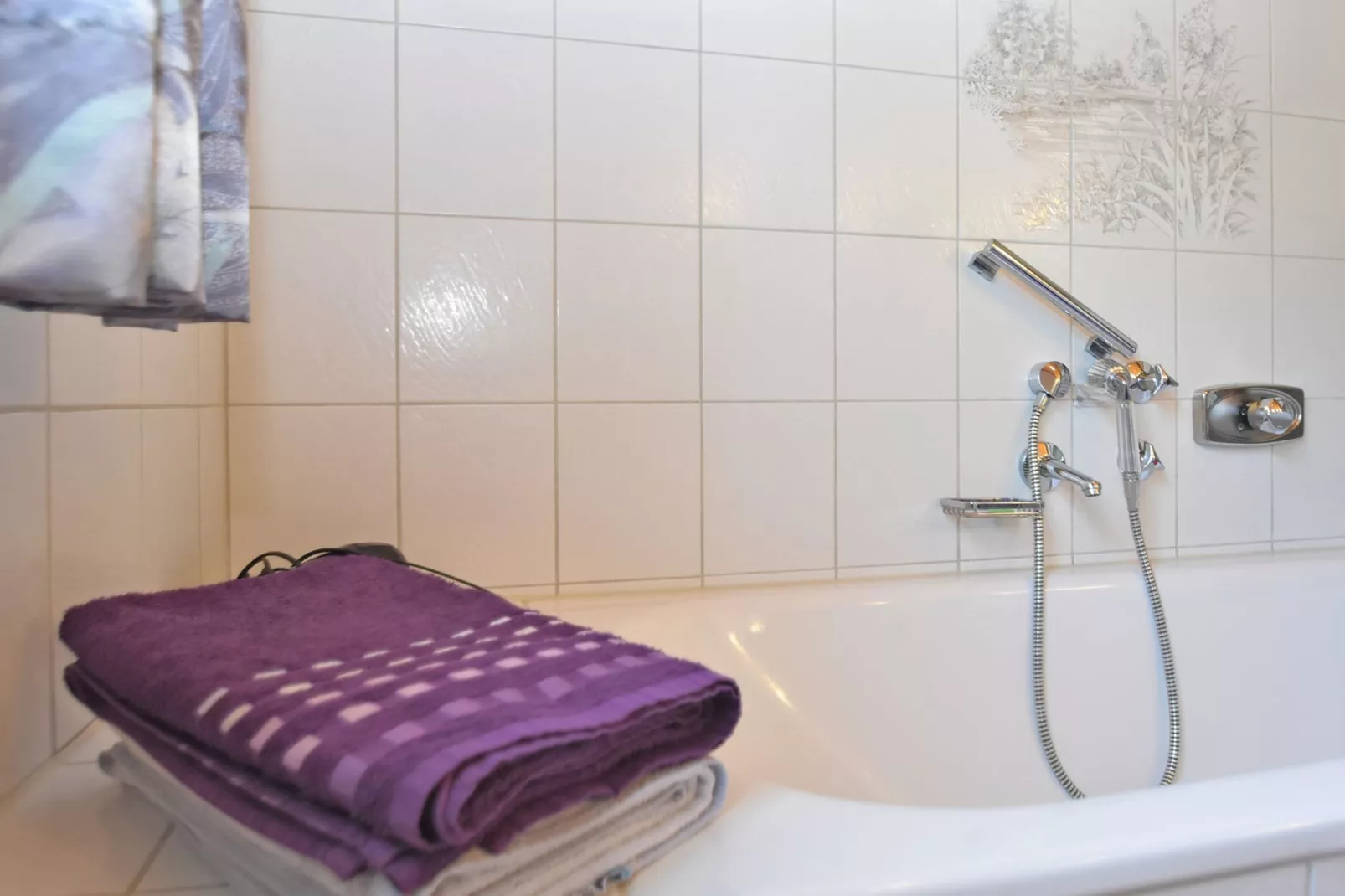 Holecek-Bathroom