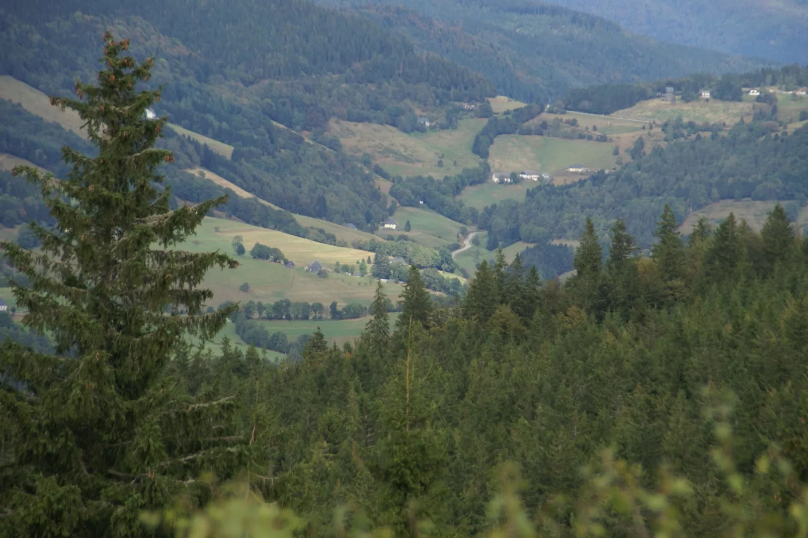 La Marmotte-Areas summer 5km