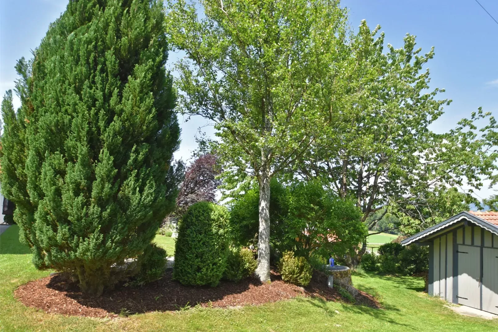 Holecek-Gardens summer
