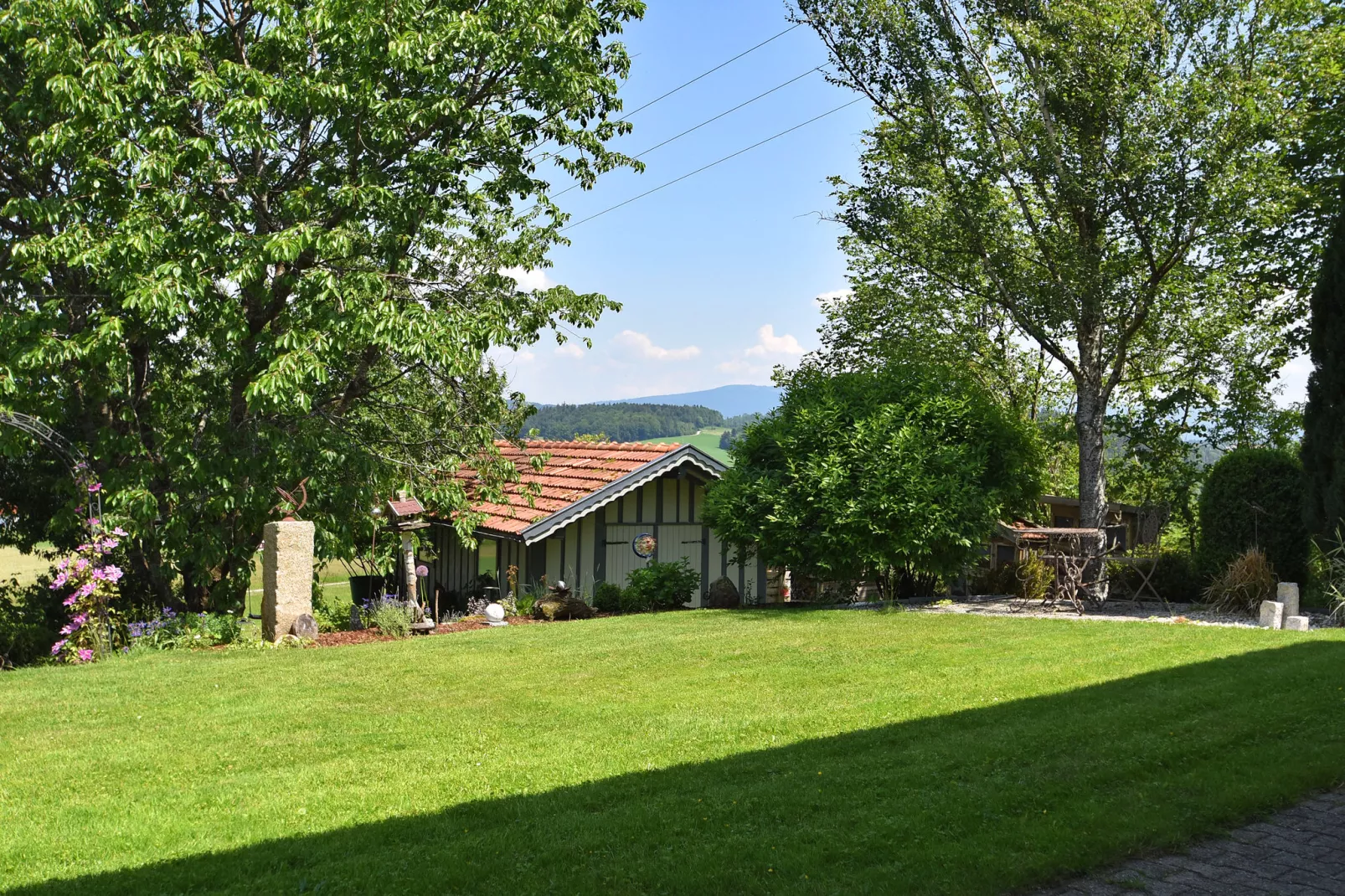 Holecek-View summer