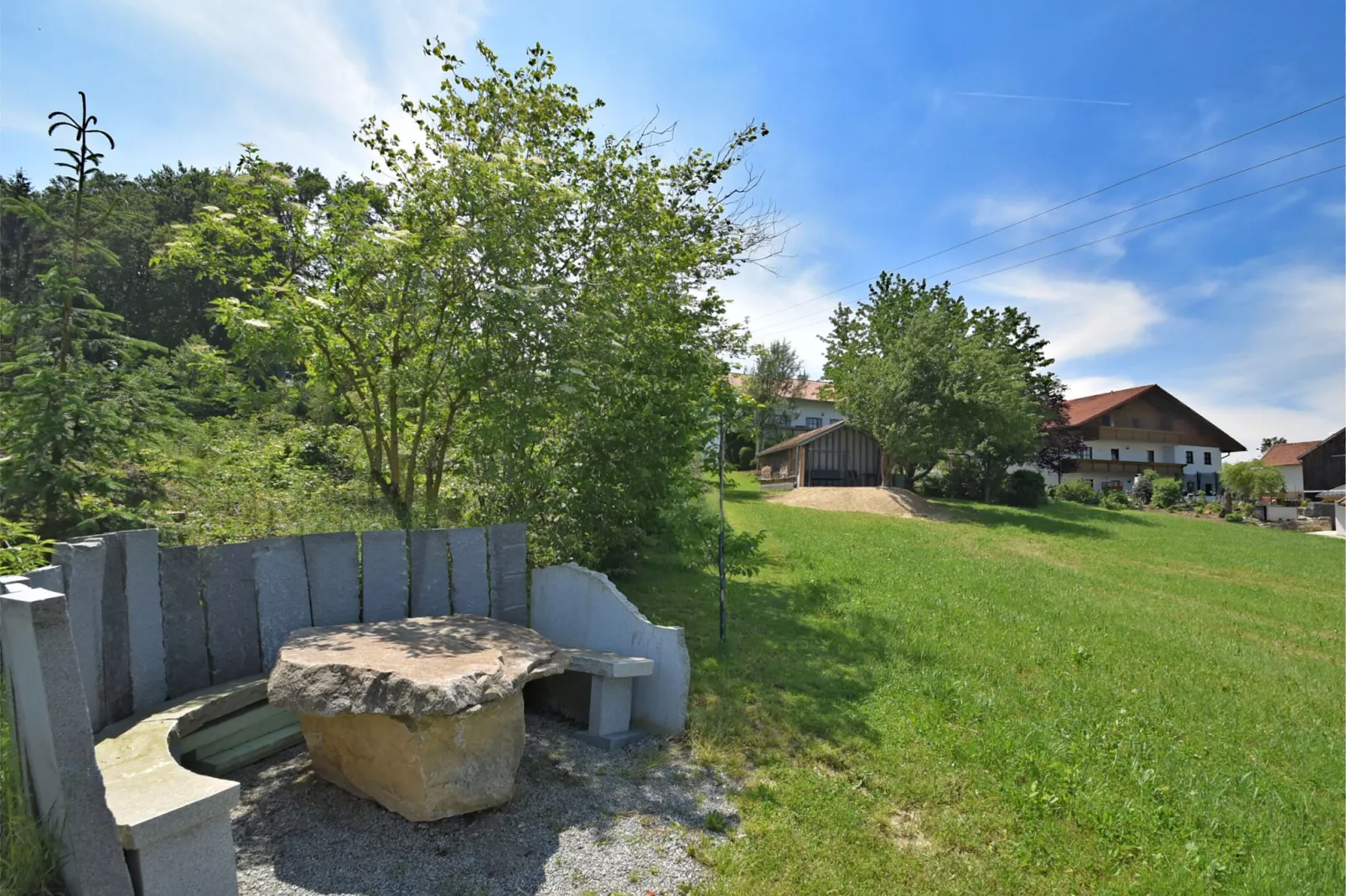 Holecek-View summer