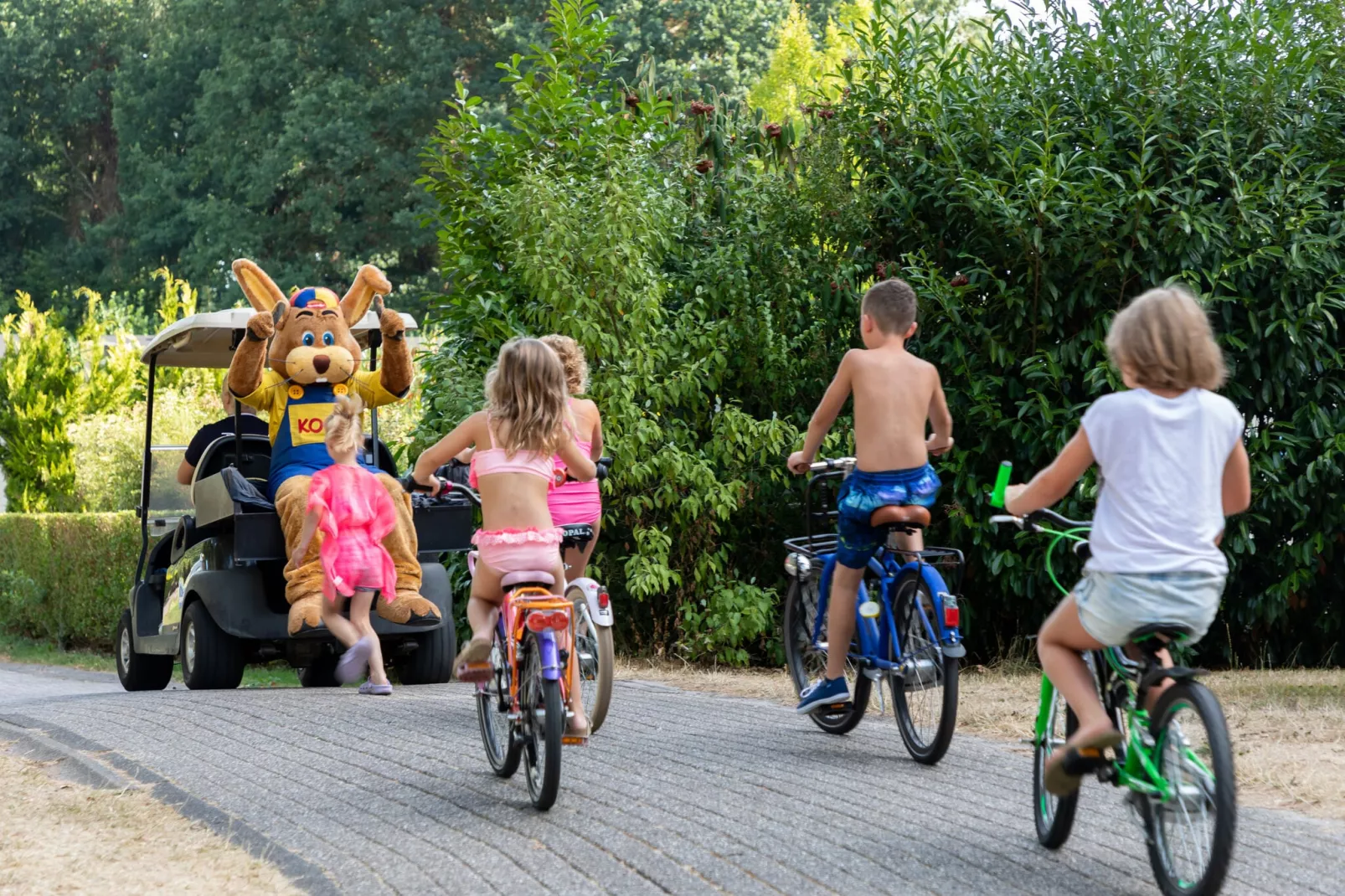 Hunzepark 15-Installations du parc