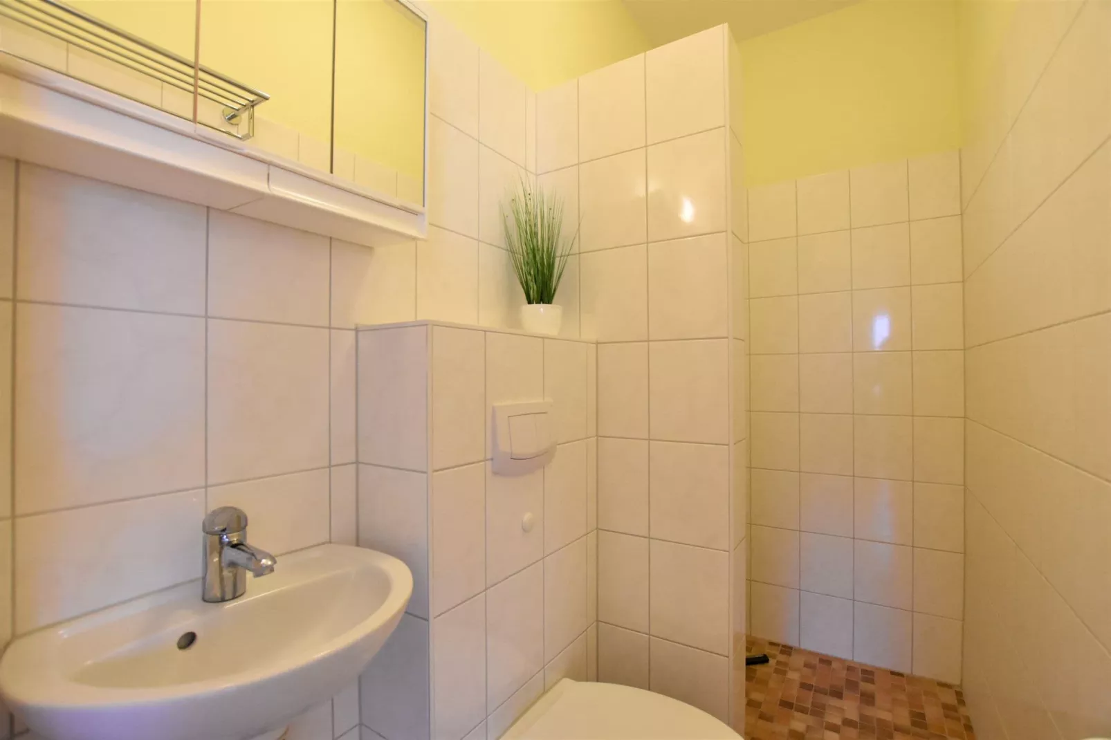 Zierow Z2B-Bathroom