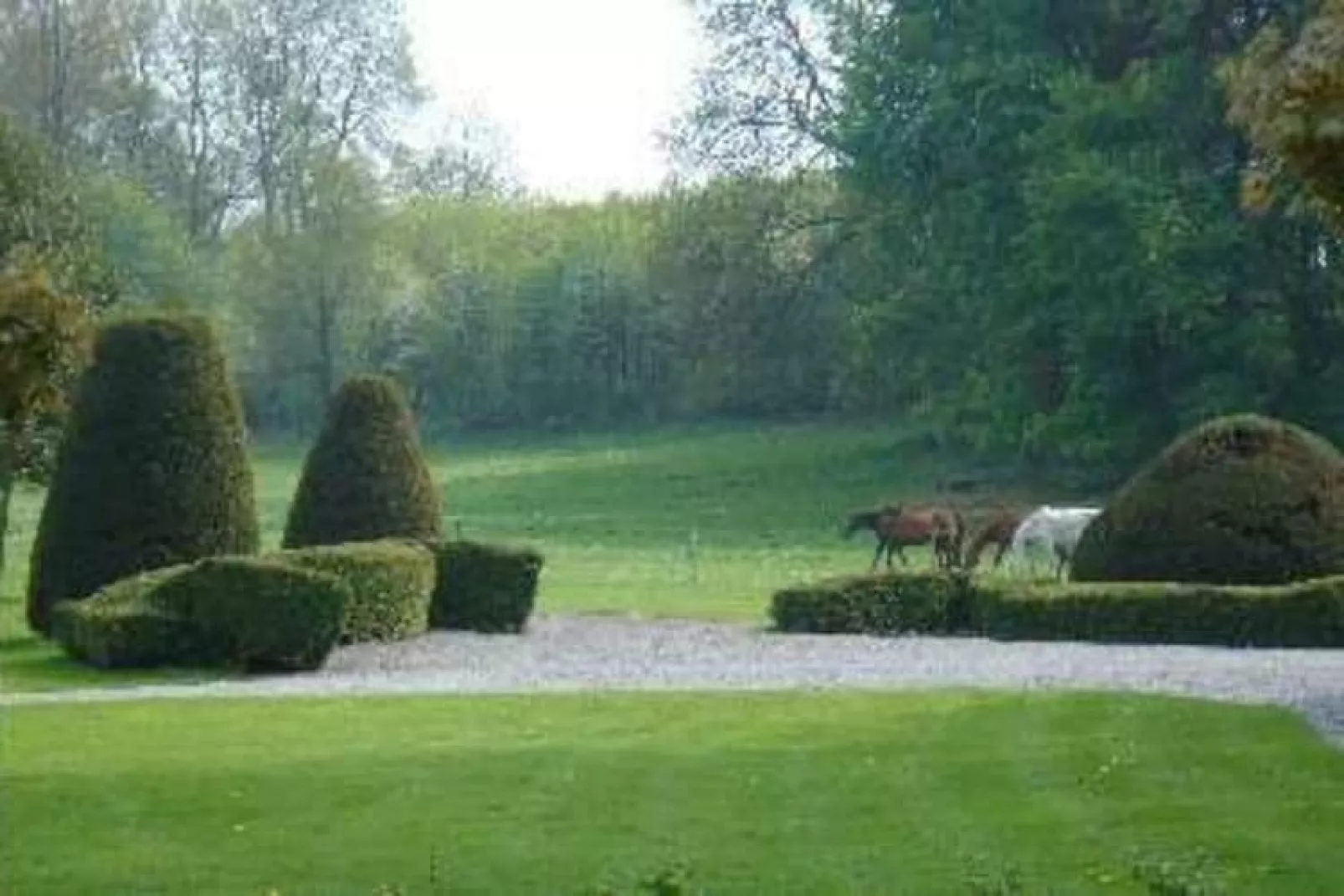 Le Clos du Château-Gardens summer
