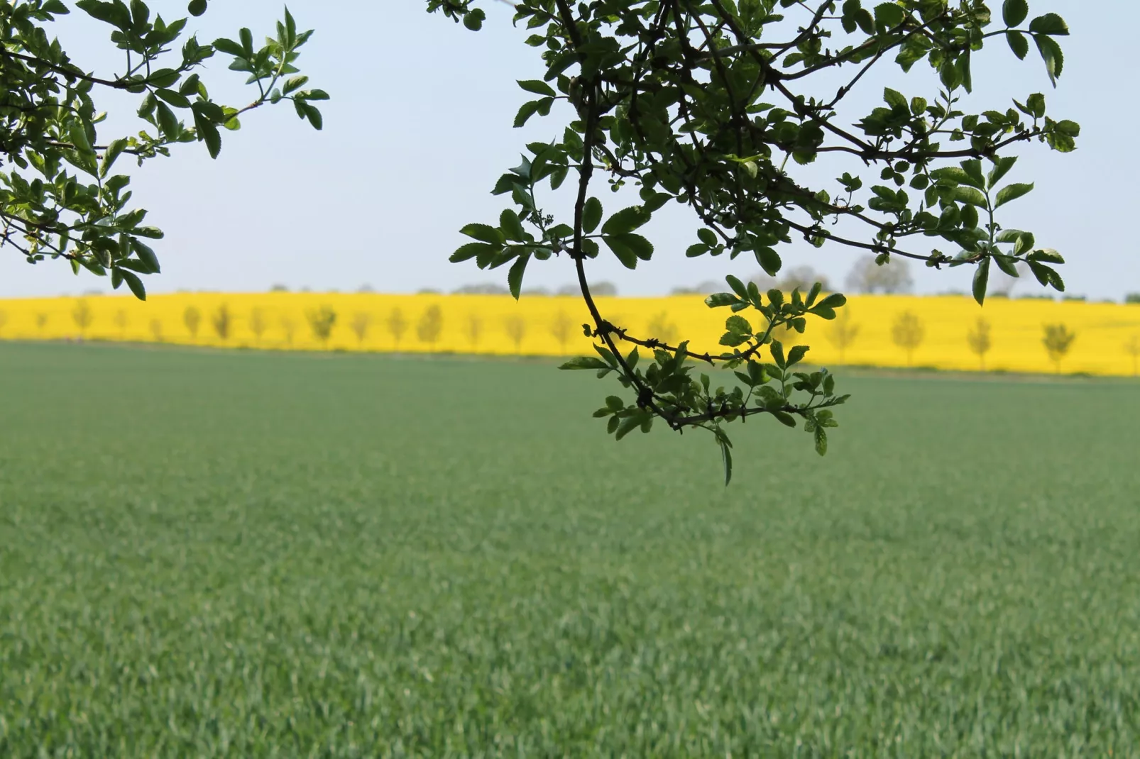 Zierow Z2B-Areas summer 5km