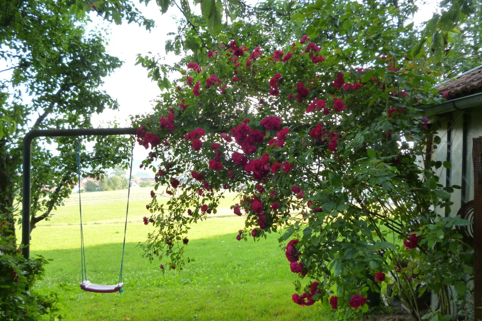 Holecek-Gardens summer