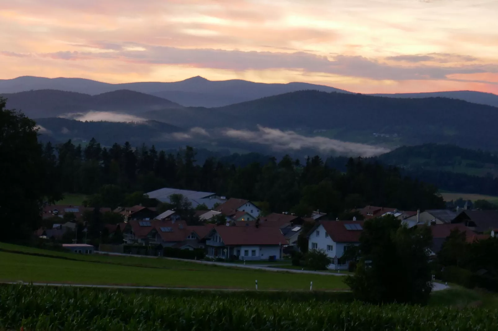 Holecek-View summer