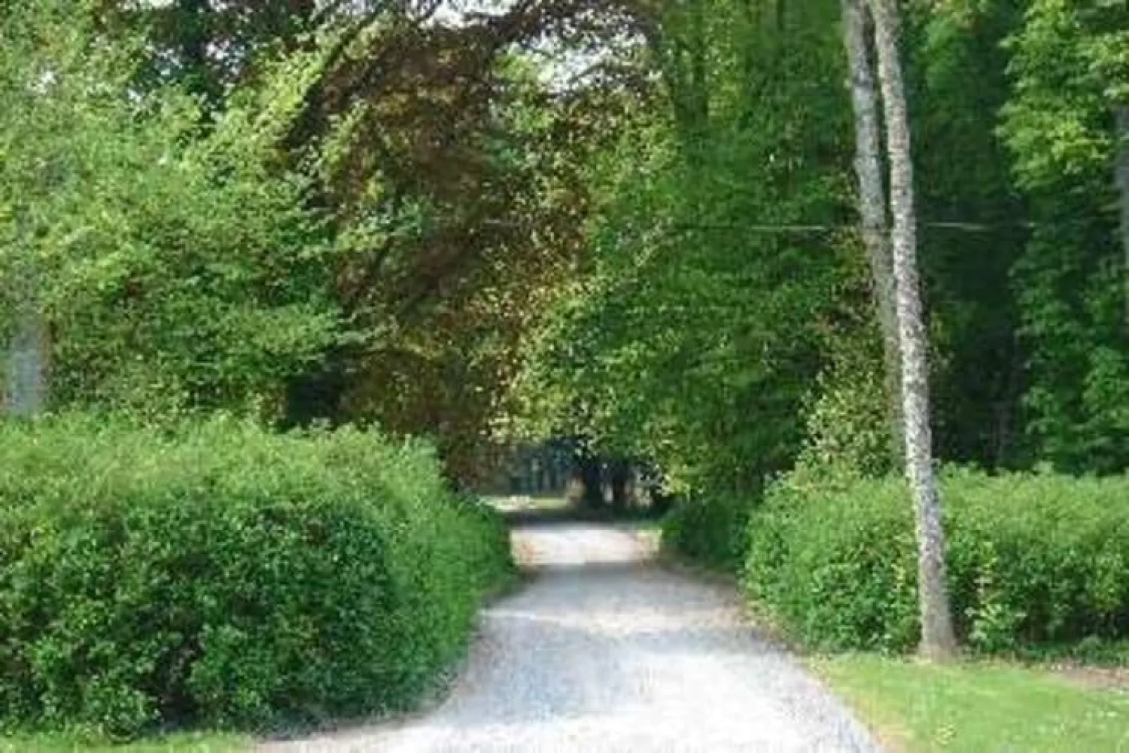 Le Clos du Château-Areas summer 5km