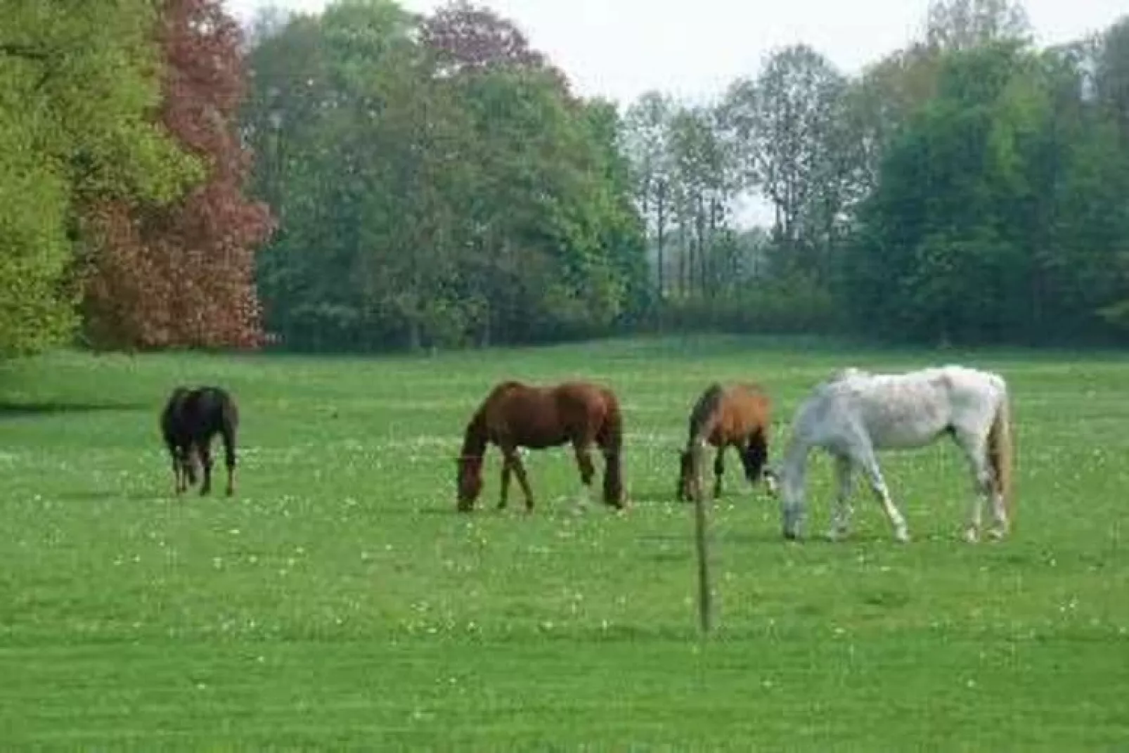 Le Clos du Château-Areas summer 5km