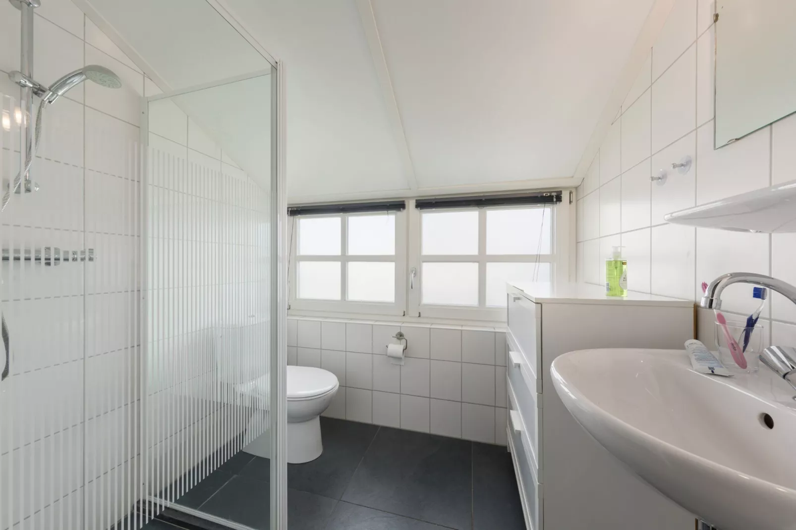 Waterpark Belterwiede 2-Bathroom