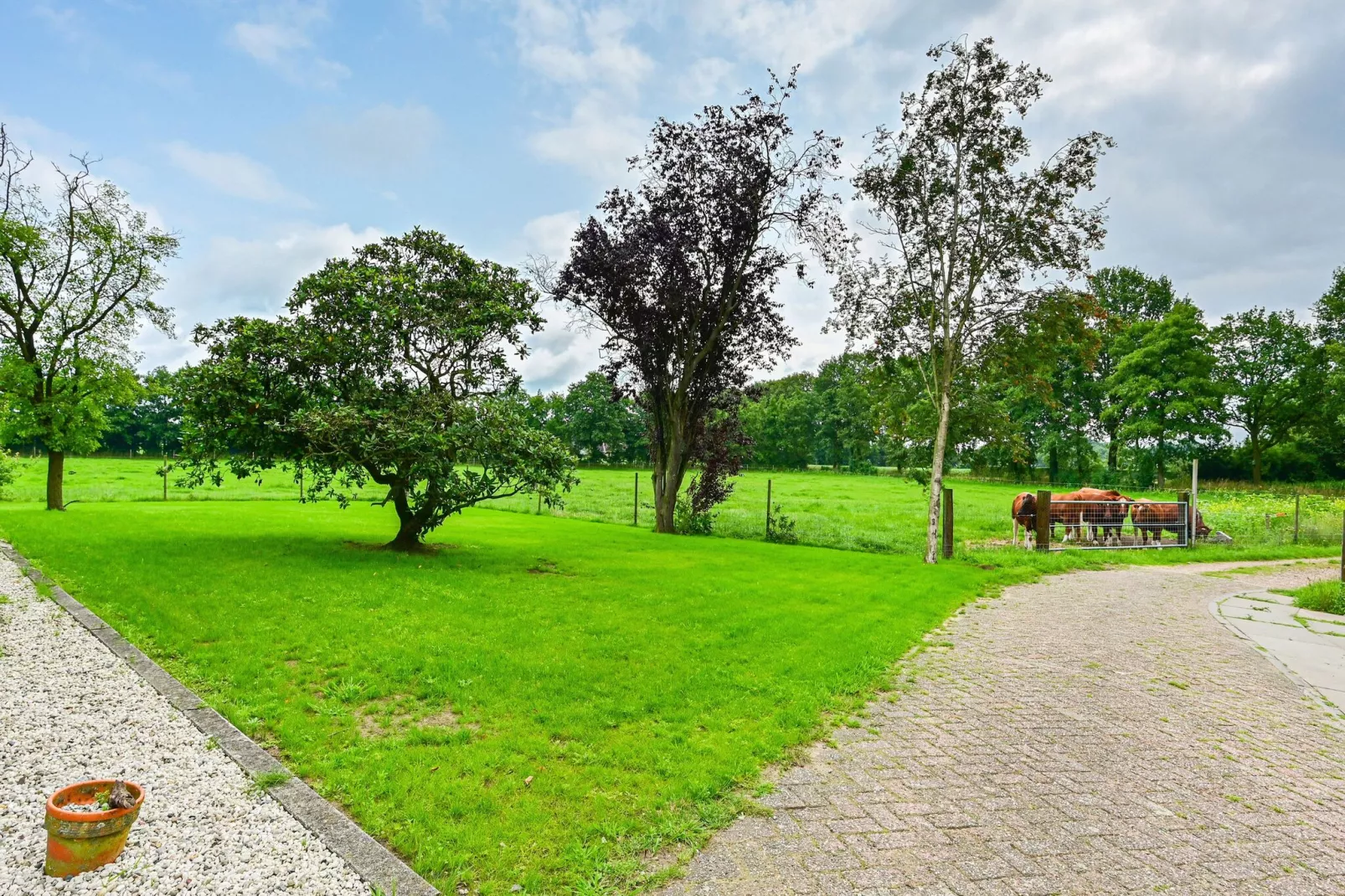 Welskerveen 5-Areas summer 1km