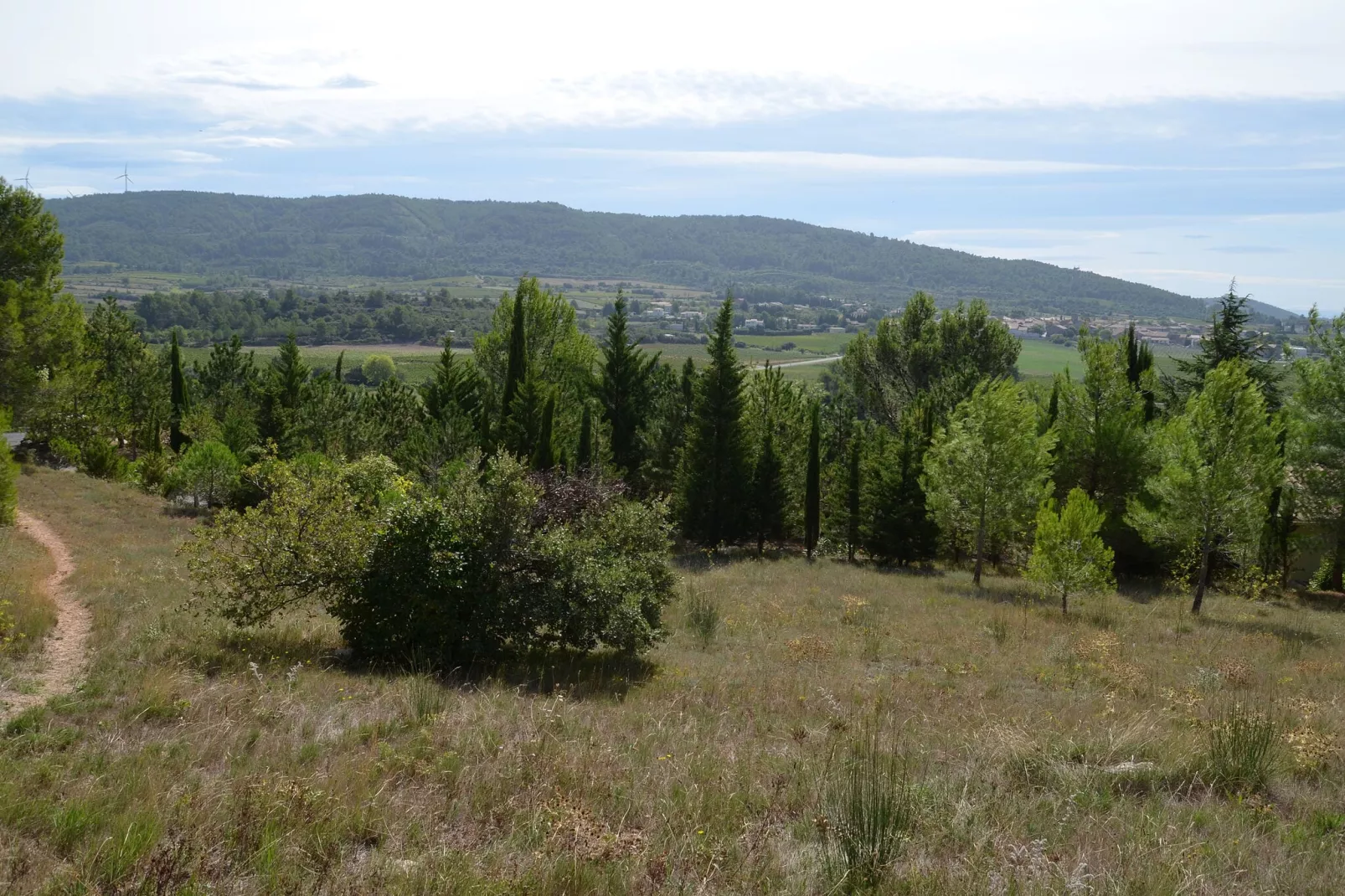 La Garrigue-Gardens summer