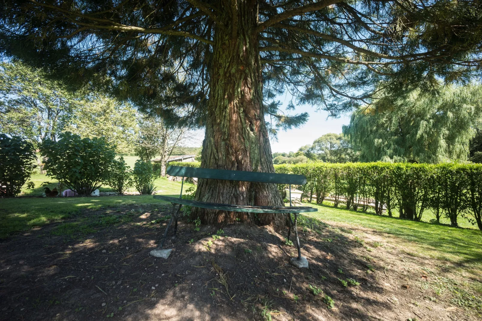 Curtille du Mesnil 2-Gardens summer