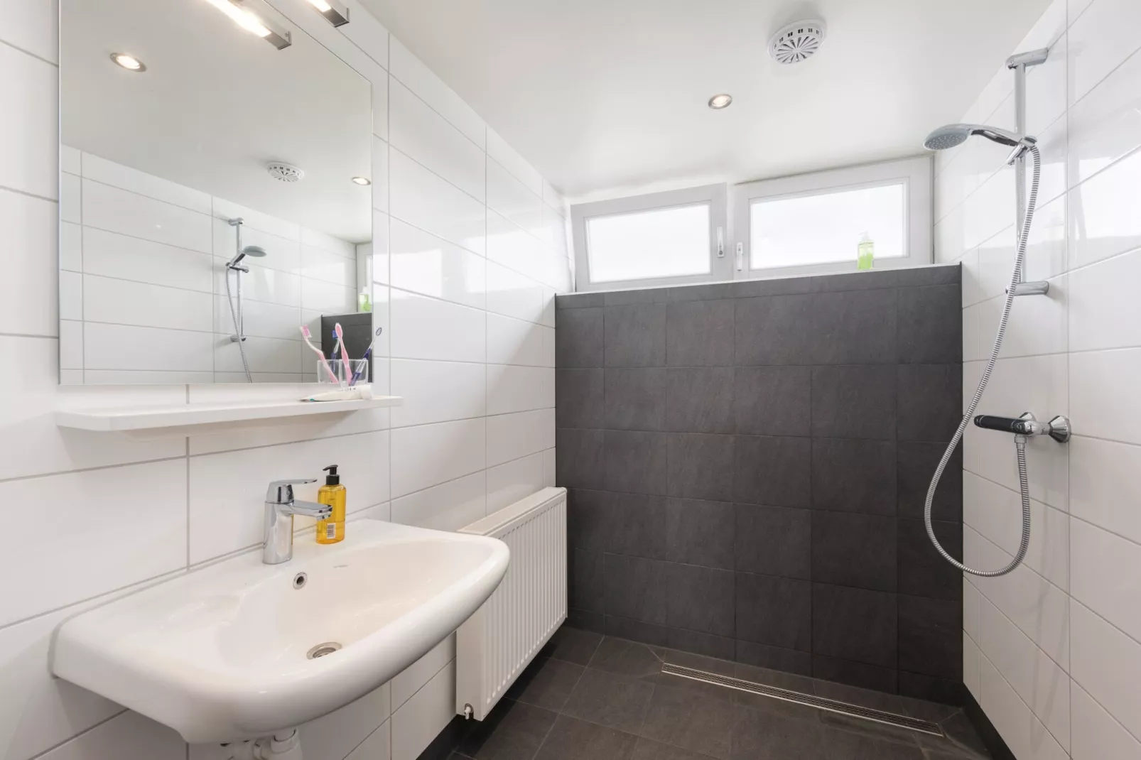 Waterpark Belterwiede 1-Bathroom