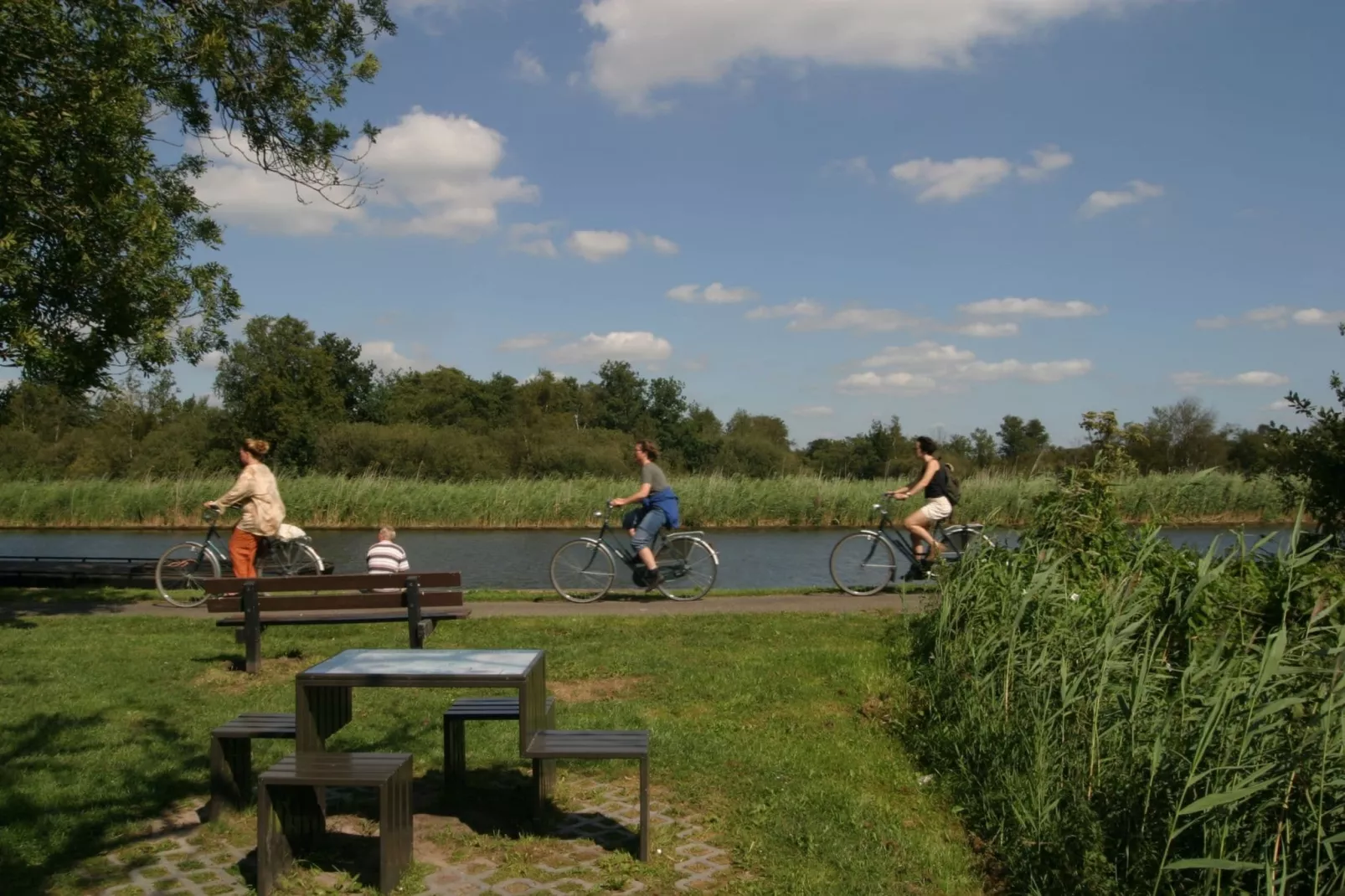 Waterpark Belterwiede 1-Areas summer 1km