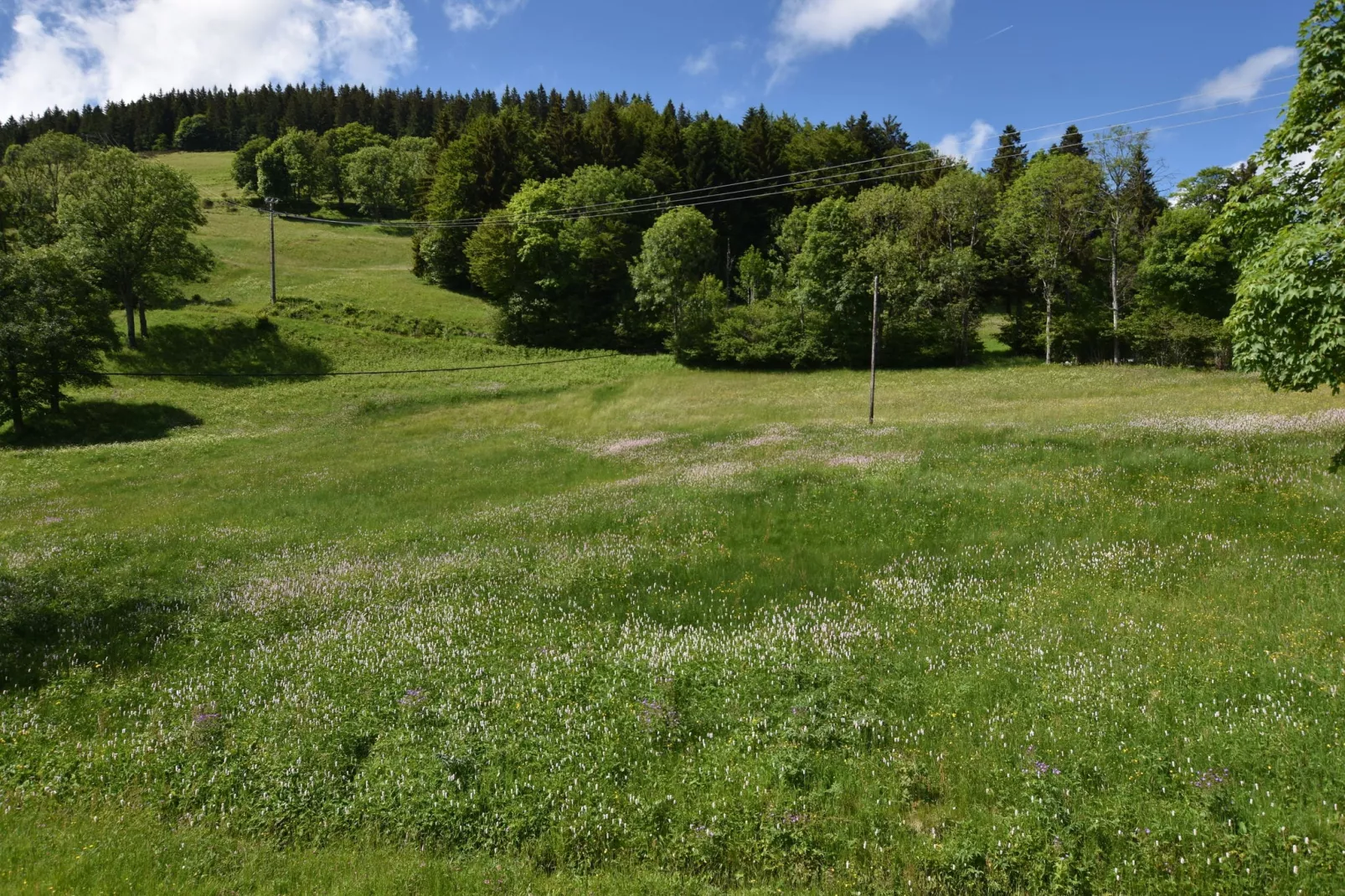 La Bergerie-View in summer